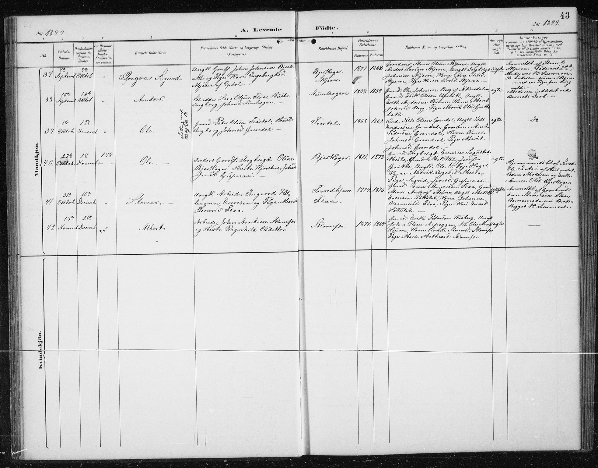 Ministerialprotokoller, klokkerbøker og fødselsregistre - Sør-Trøndelag, SAT/A-1456/674/L0876: Parish register (copy) no. 674C03, 1892-1912, p. 43