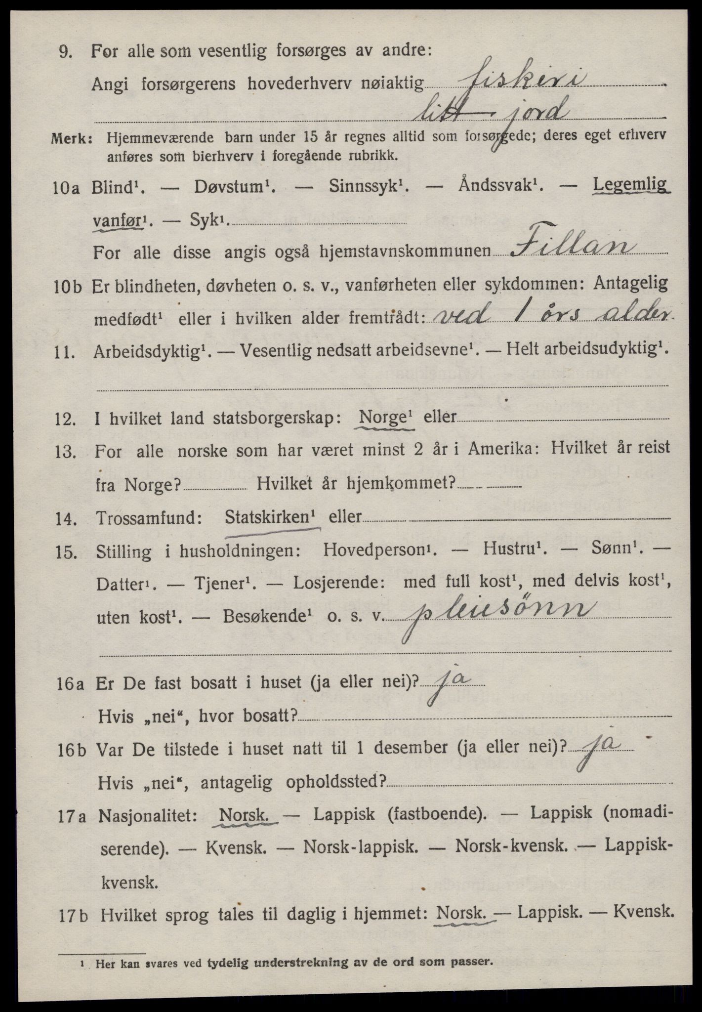 SAT, 1920 census for Fillan, 1920, p. 1331