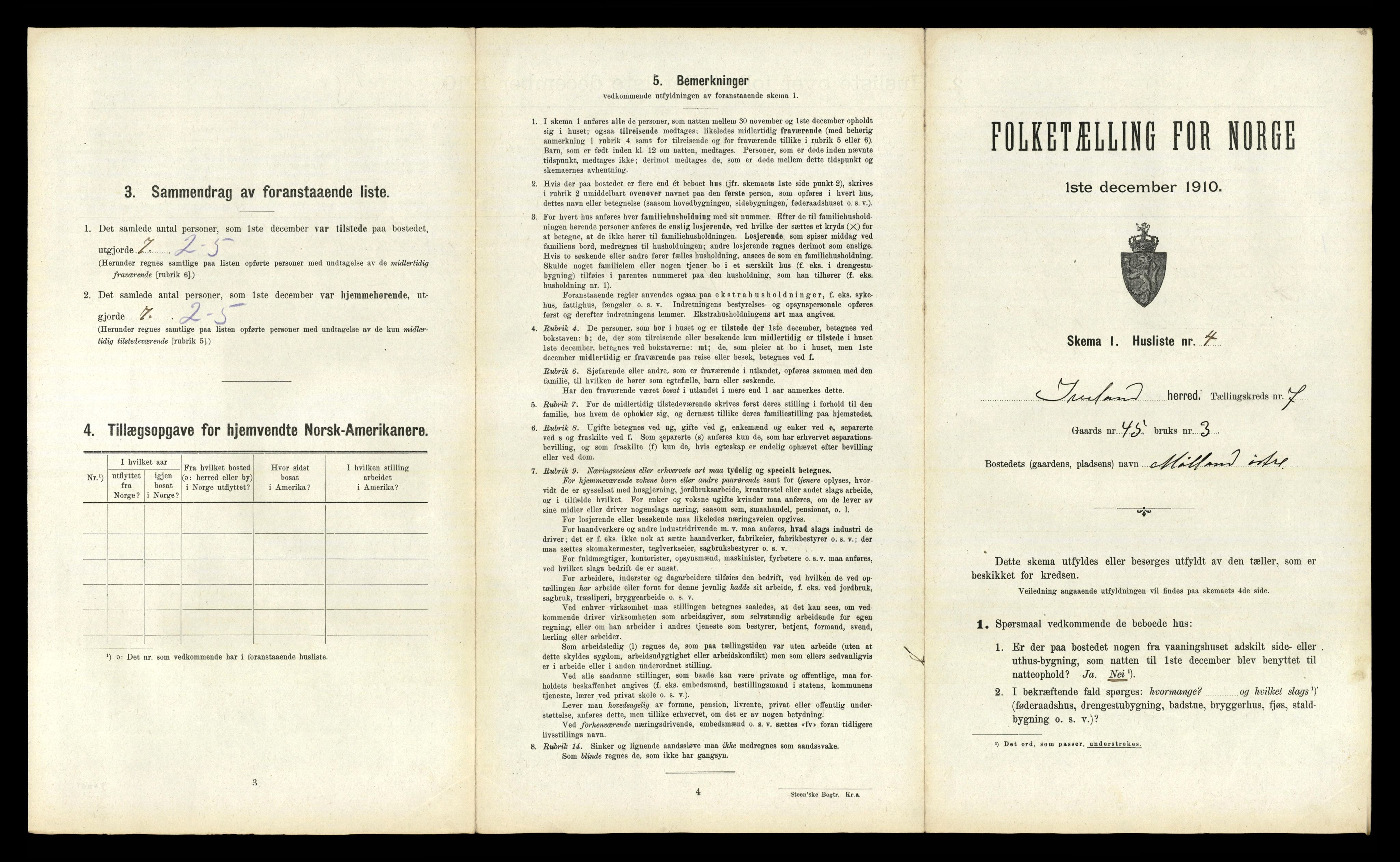 RA, 1910 census for Iveland, 1910, p. 313