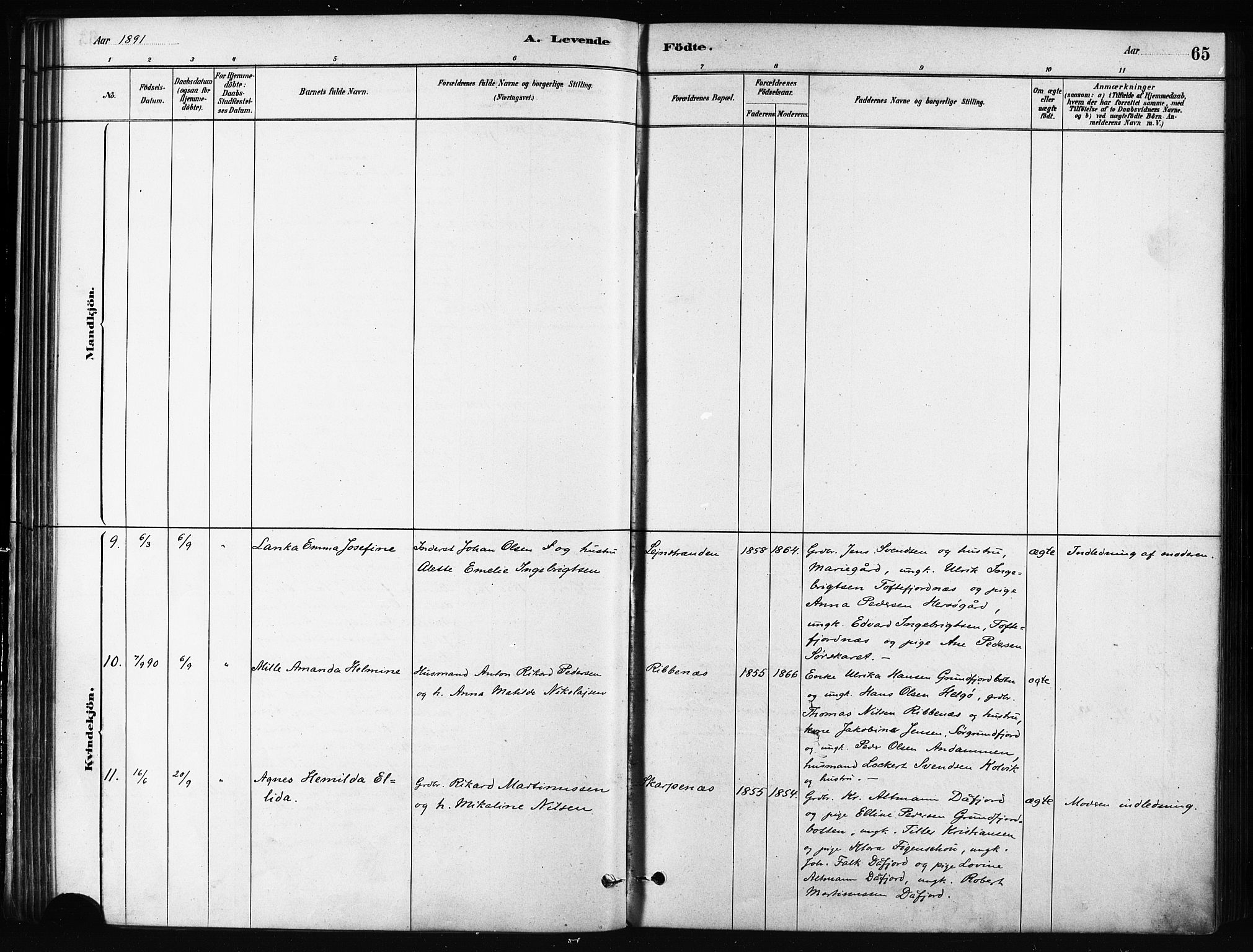 Karlsøy sokneprestembete, AV/SATØ-S-1299/H/Ha/Haa/L0011kirke: Parish register (official) no. 11, 1879-1892, p. 65