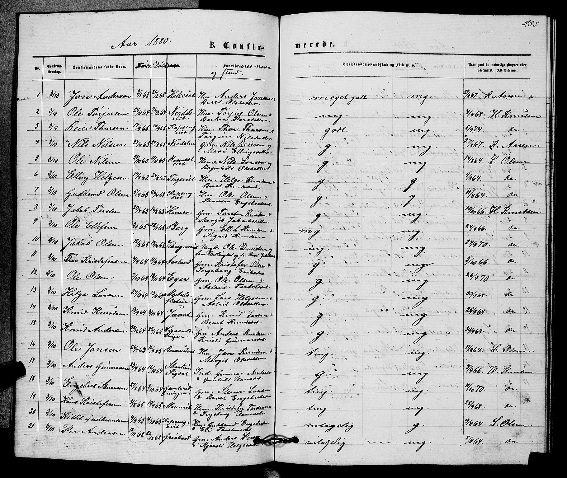 Sigdal kirkebøker, AV/SAKO-A-245/G/Gb/L0002: Parish register (copy) no. II 2, 1875-1900, p. 233