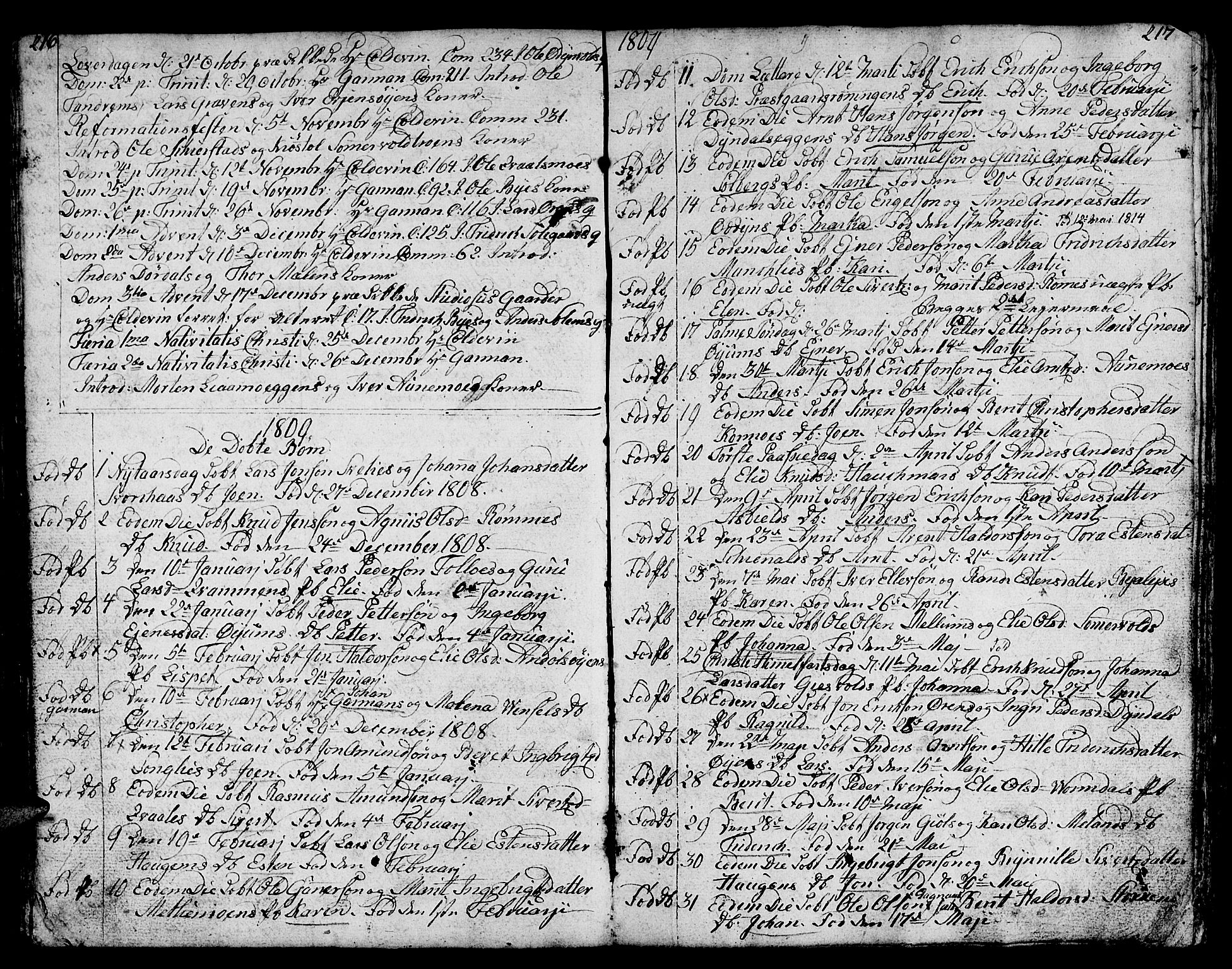 Ministerialprotokoller, klokkerbøker og fødselsregistre - Sør-Trøndelag, SAT/A-1456/668/L0815: Parish register (copy) no. 668C04, 1791-1815, p. 216-217