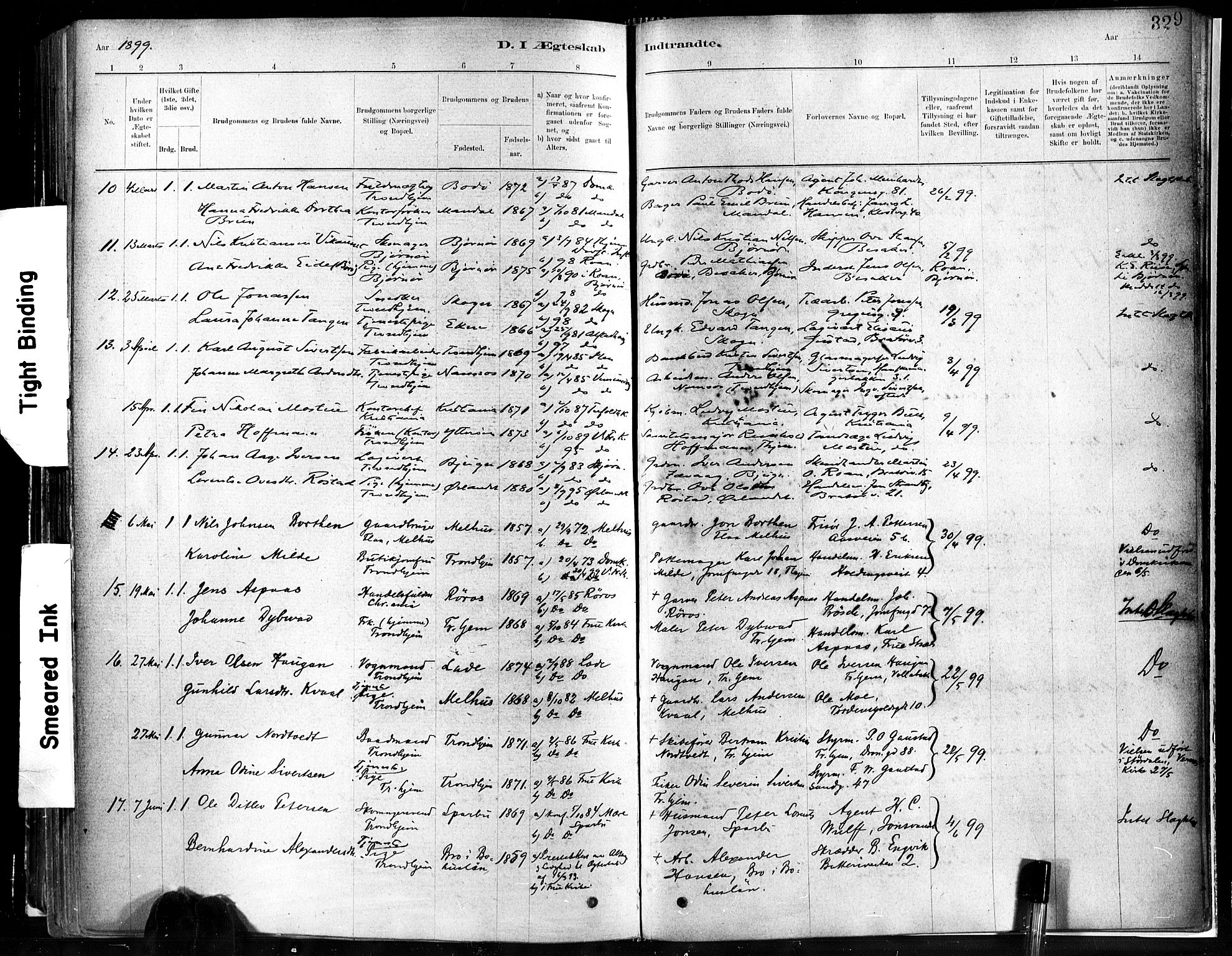 Ministerialprotokoller, klokkerbøker og fødselsregistre - Sør-Trøndelag, AV/SAT-A-1456/602/L0119: Parish register (official) no. 602A17, 1880-1901, p. 329