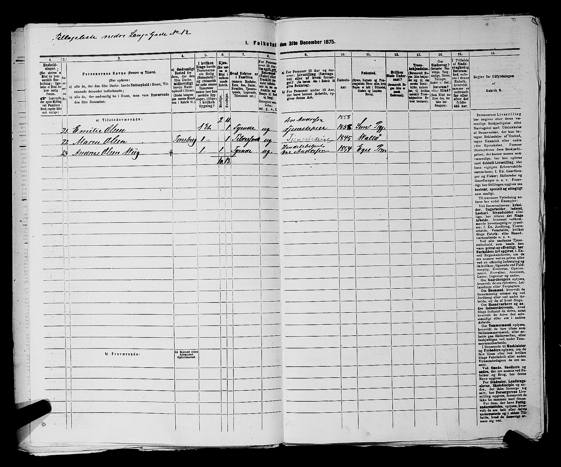 SAKO, 1875 census for 0705P Tønsberg, 1875, p. 55