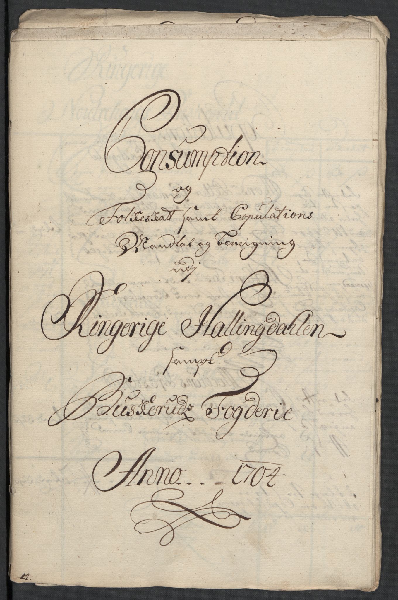 Rentekammeret inntil 1814, Reviderte regnskaper, Fogderegnskap, AV/RA-EA-4092/R22/L1463: Fogderegnskap Ringerike, Hallingdal og Buskerud, 1704, p. 214