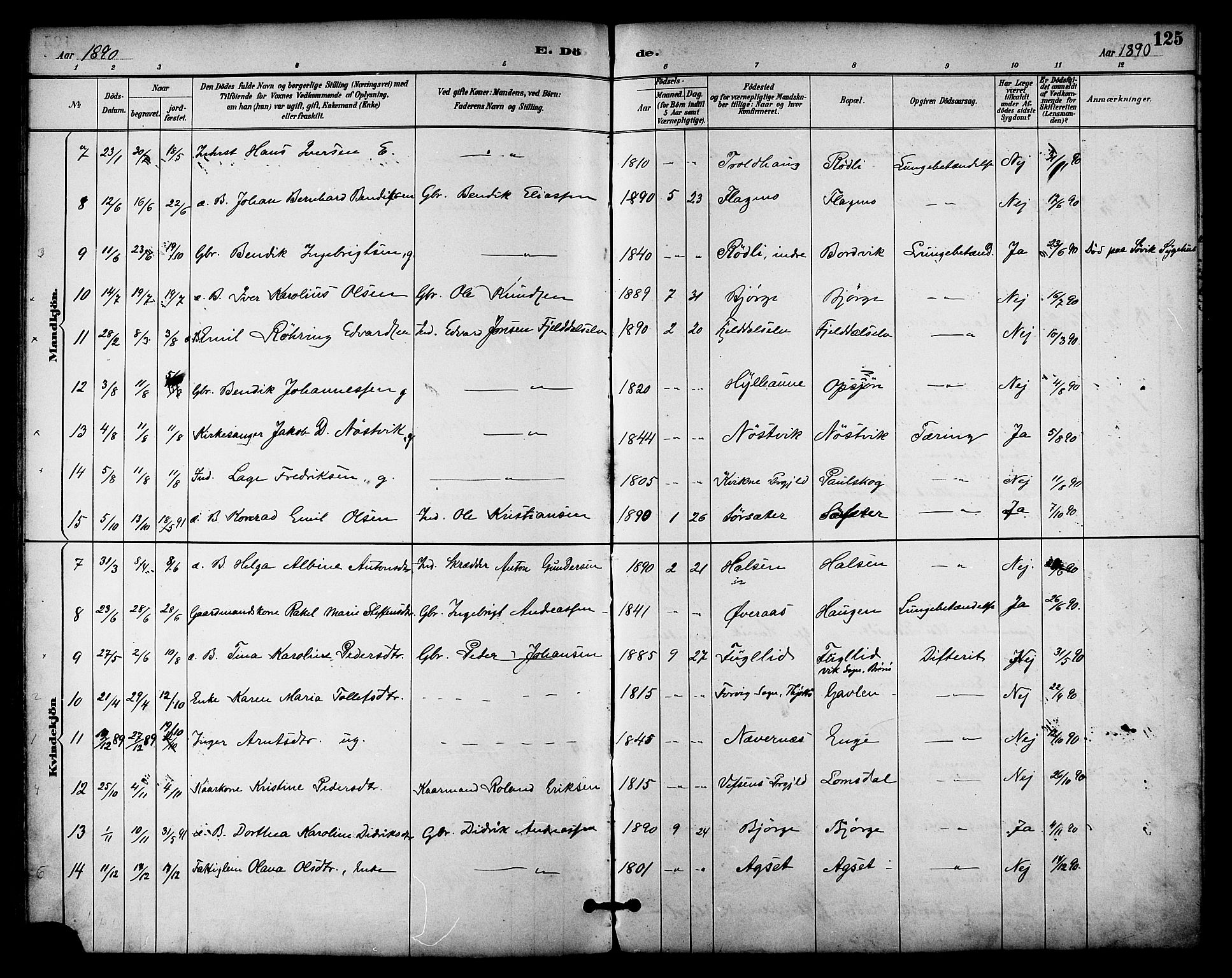 Ministerialprotokoller, klokkerbøker og fødselsregistre - Nordland, AV/SAT-A-1459/814/L0226: Parish register (official) no. 814A07, 1886-1898, p. 125