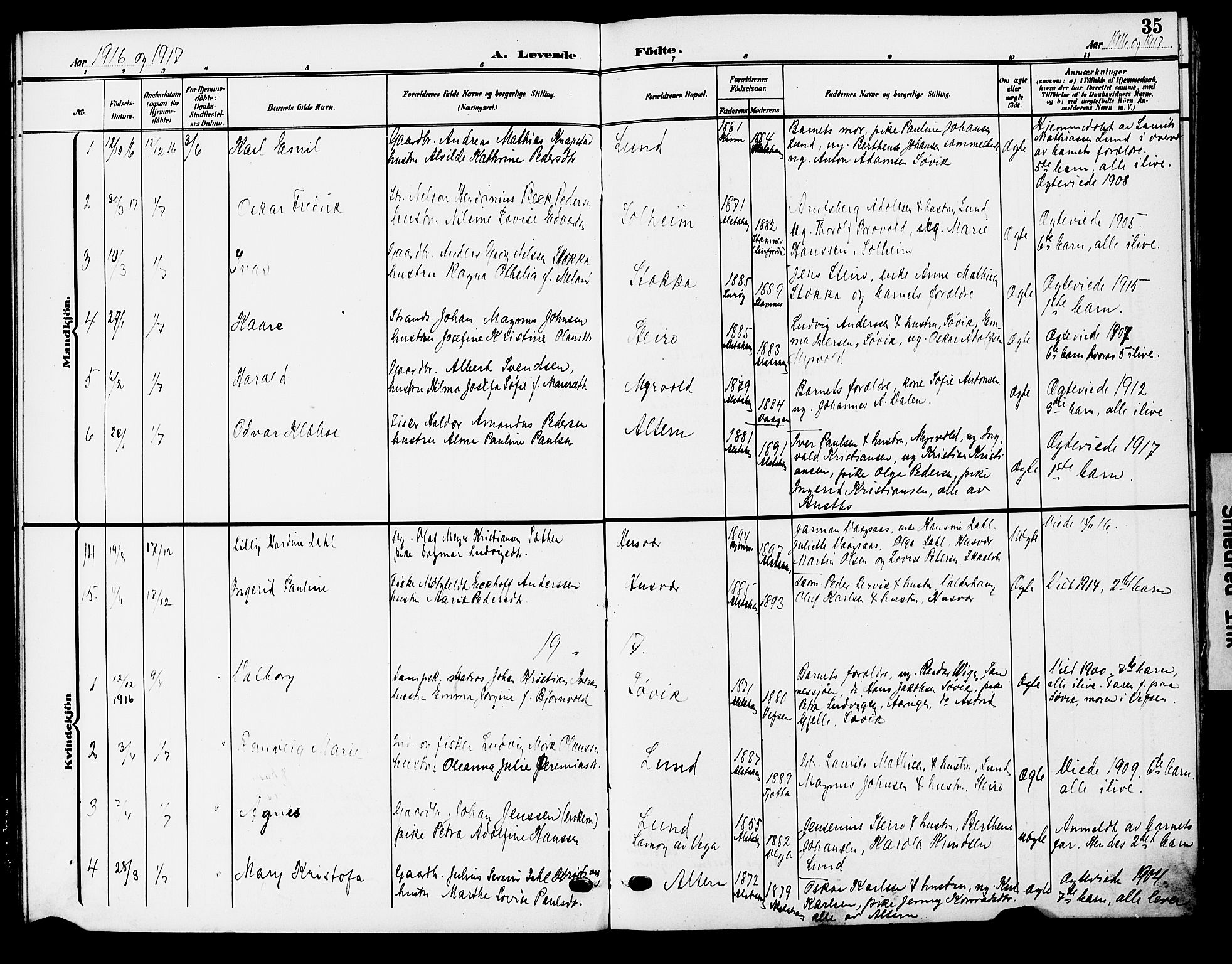 Ministerialprotokoller, klokkerbøker og fødselsregistre - Nordland, AV/SAT-A-1459/830/L0464: Parish register (copy) no. 830C06, 1906-1925, p. 35