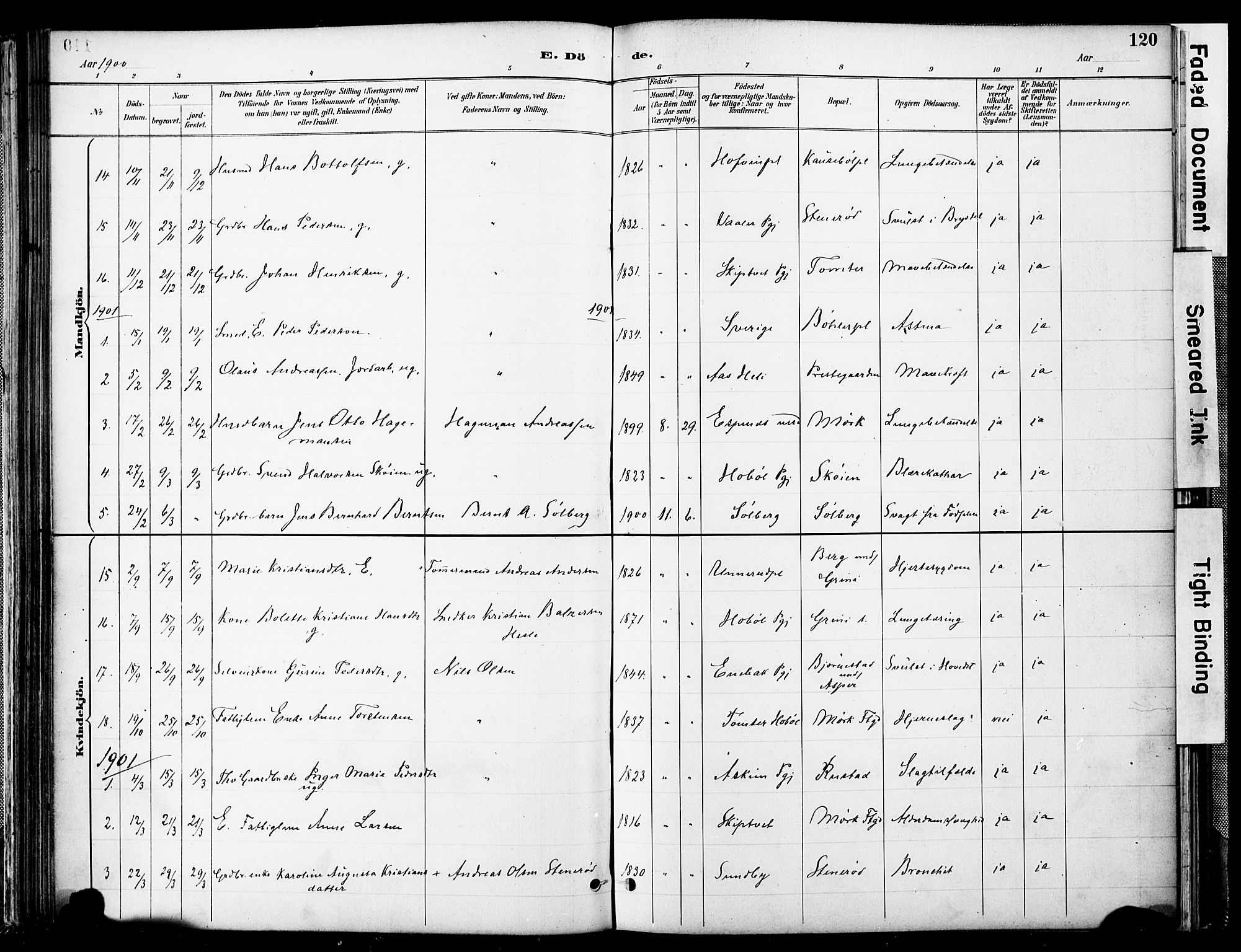 Spydeberg prestekontor Kirkebøker, AV/SAO-A-10924/F/Fa/L0008: Parish register (official) no. I 8, 1886-1900, p. 120