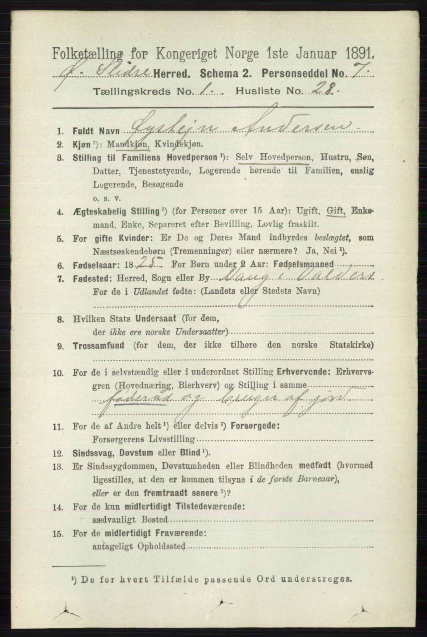 RA, 1891 census for 0544 Øystre Slidre, 1891, p. 209