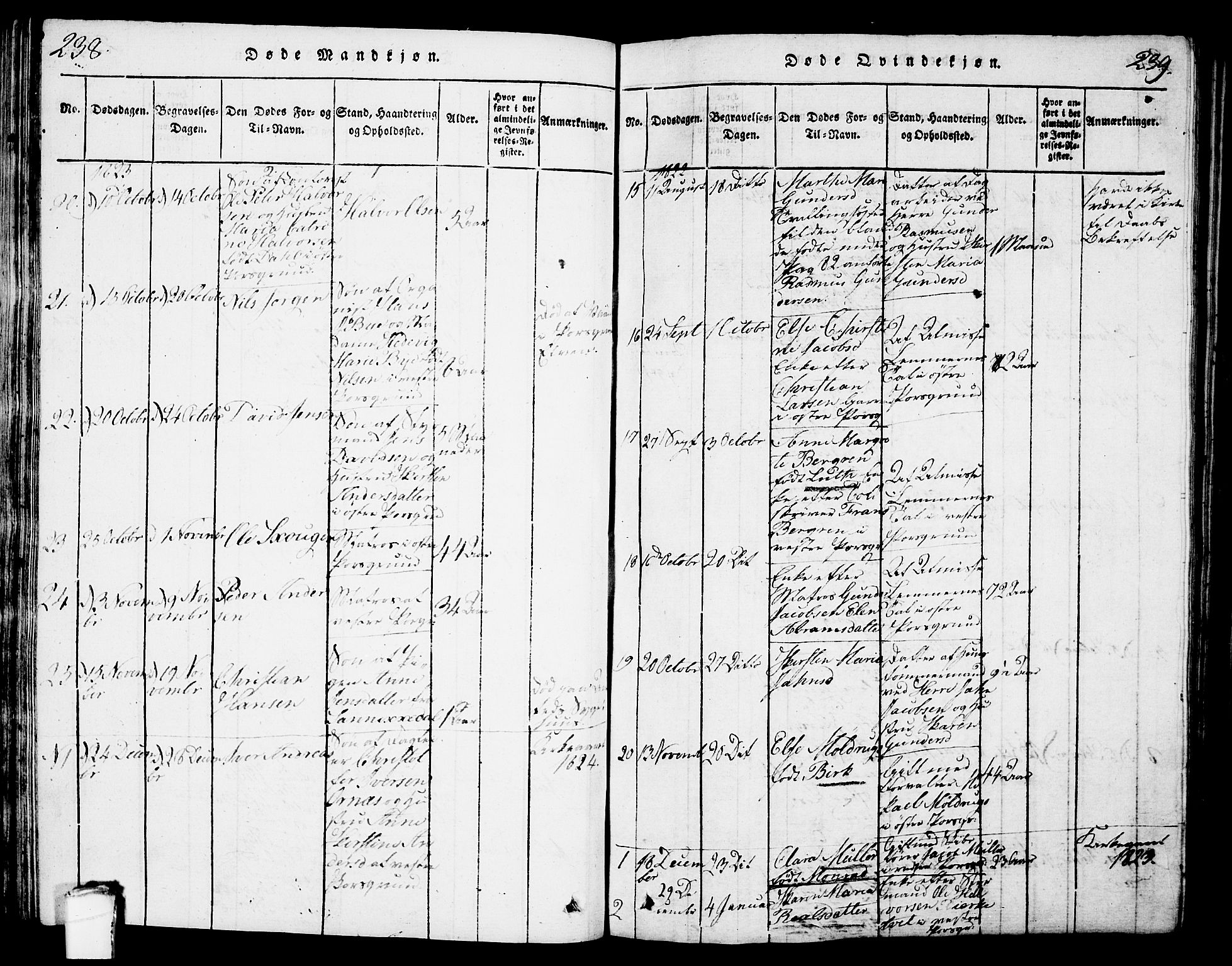 Porsgrunn kirkebøker , AV/SAKO-A-104/G/Gb/L0001: Parish register (copy) no. II 1, 1817-1828, p. 238-239