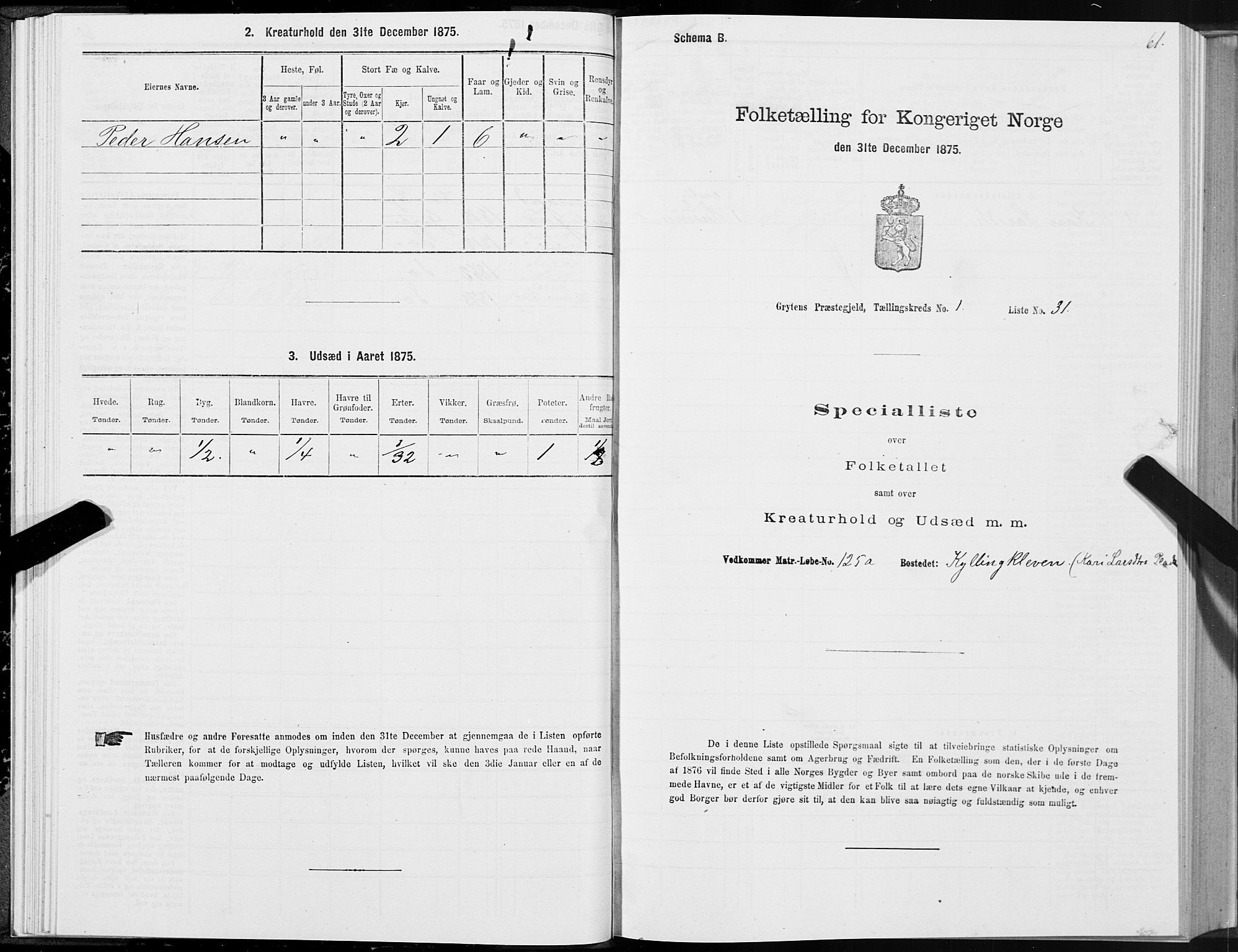 SAT, 1875 census for 1539P Grytten, 1875, p. 1061