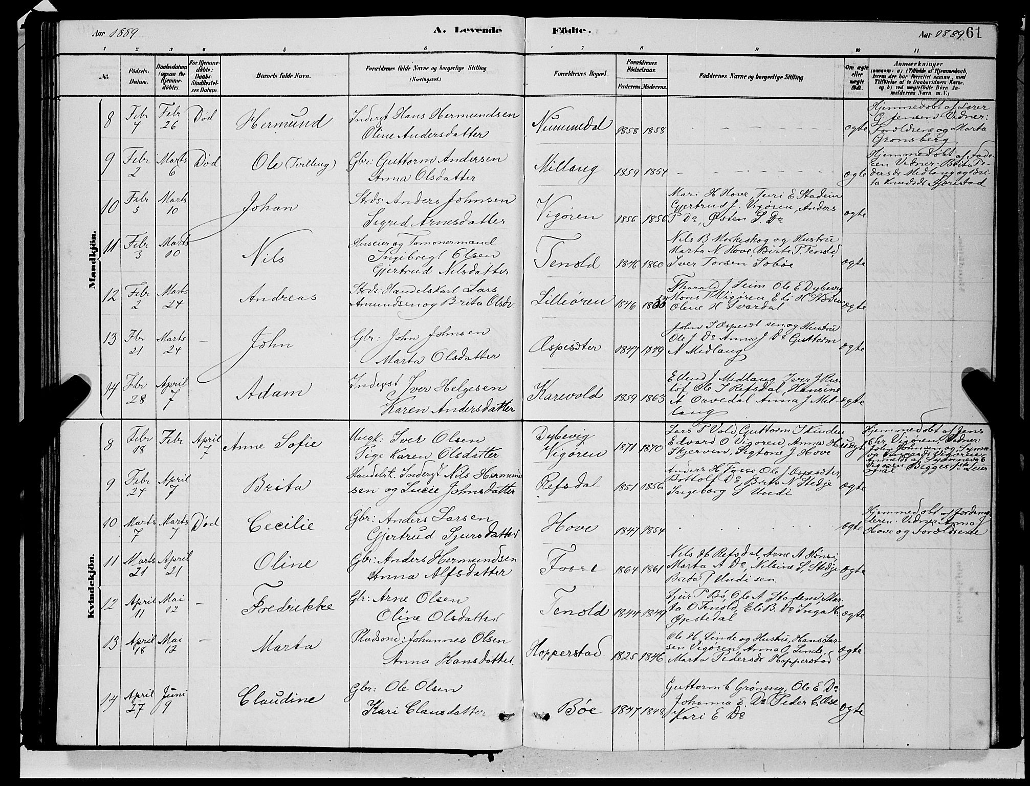 Vik sokneprestembete, AV/SAB-A-81501/H/Hab/Haba/L0003: Parish register (copy) no. A 3, 1878-1894, p. 61