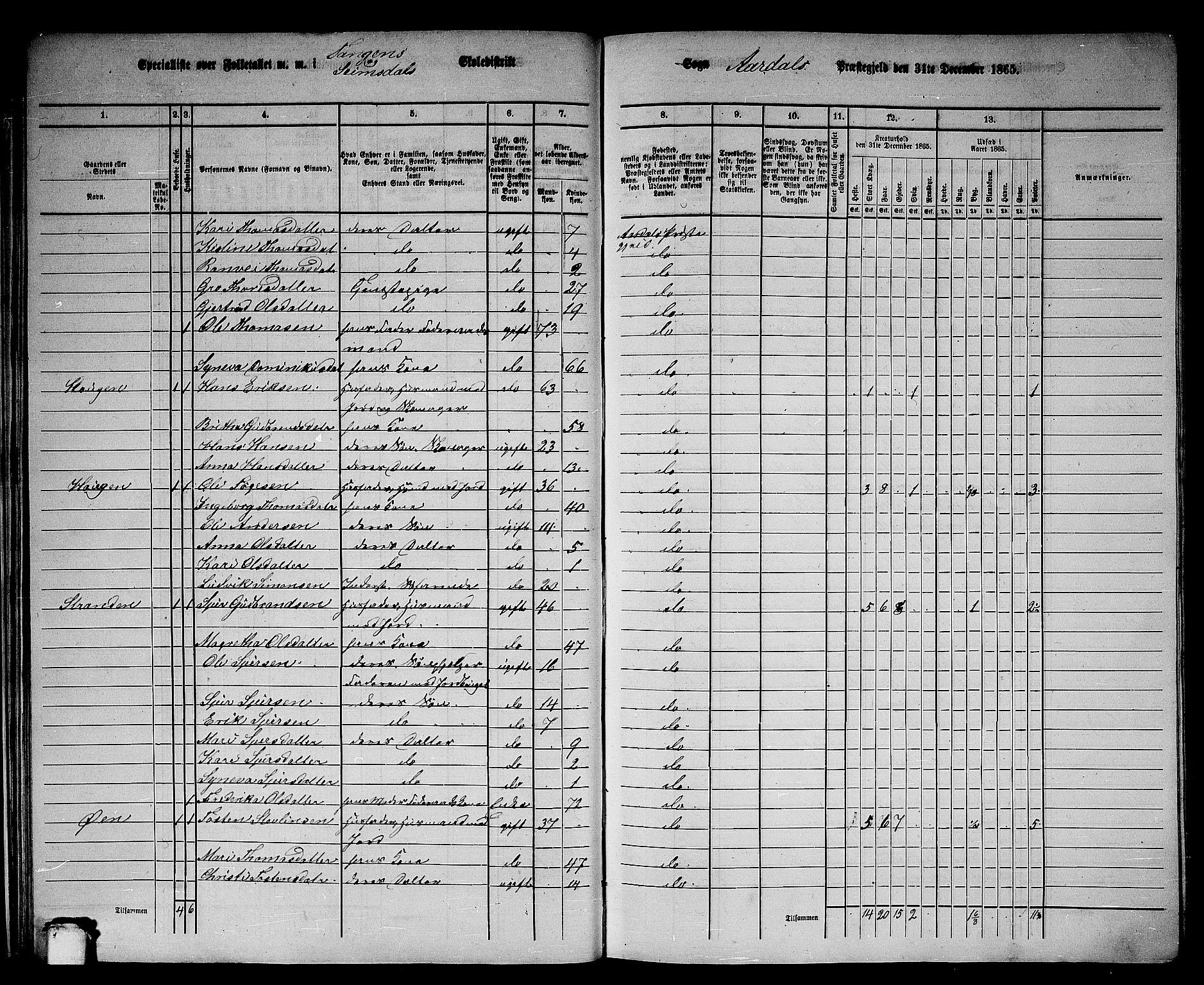 RA, 1865 census for Årdal, 1865, p. 29