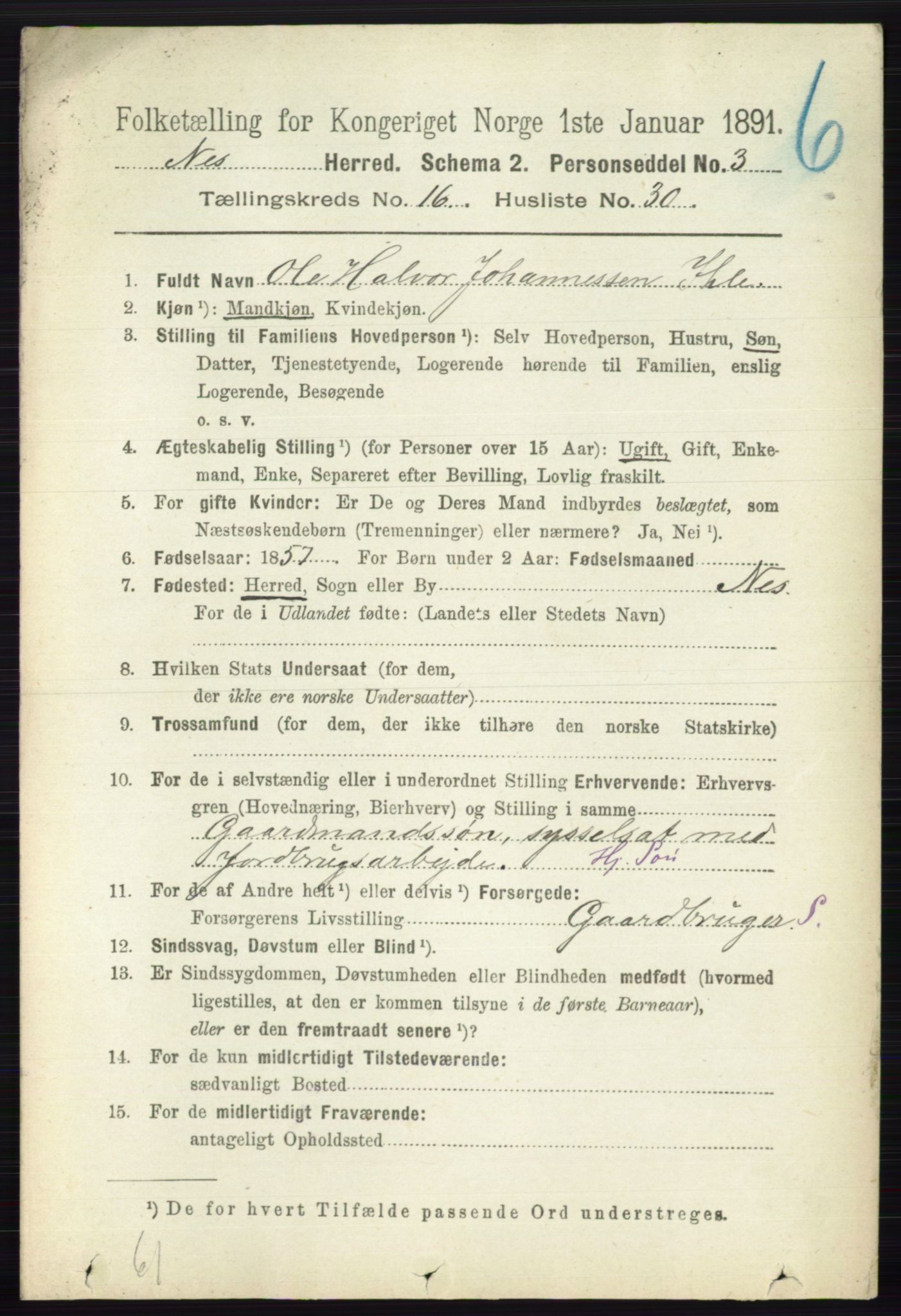 RA, 1891 census for 0236 Nes, 1891, p. 9736