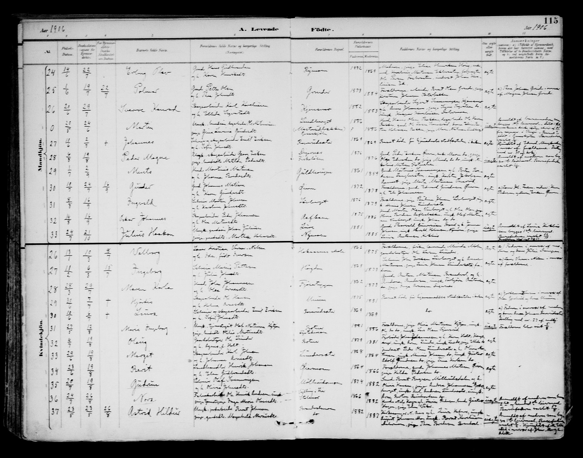 Brandval prestekontor, AV/SAH-PREST-034/H/Ha/Haa/L0003: Parish register (official) no. 3, 1894-1909, p. 115