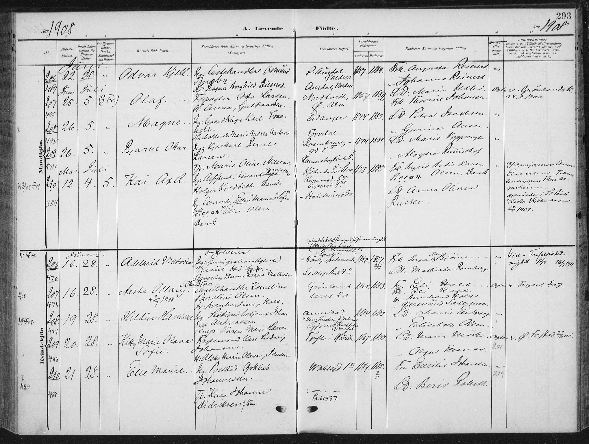 Rikshospitalet prestekontor Kirkebøker, SAO/A-10309b/F/L0013: Parish register (official) no. 13, 1905-1908, p. 293