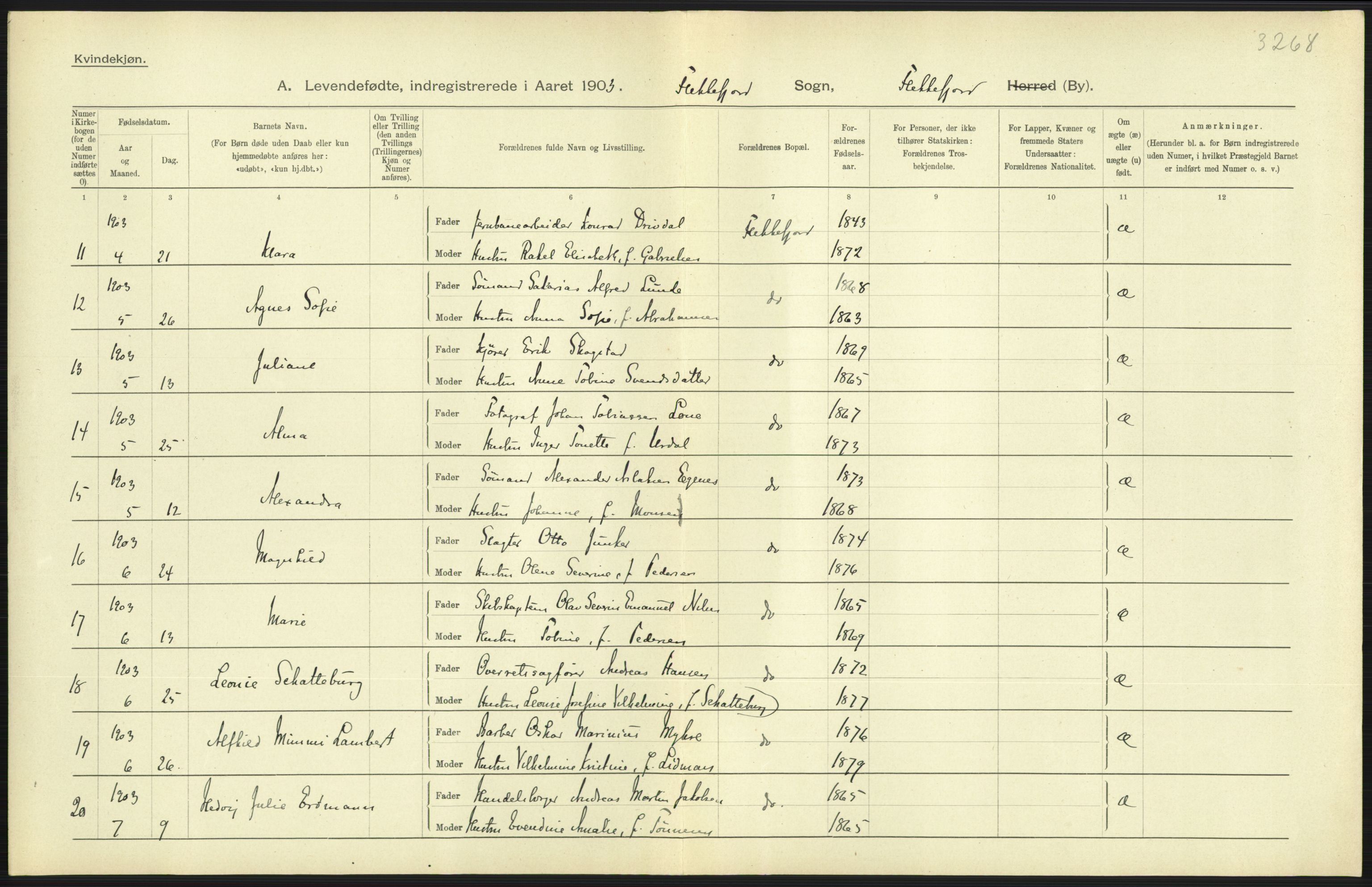 Statistisk sentralbyrå, Sosiodemografiske emner, Befolkning, AV/RA-S-2228/D/Df/Dfa/Dfaa/L0011: Lister og Mandal amt: Fødte, gifte, døde, 1903, p. 225