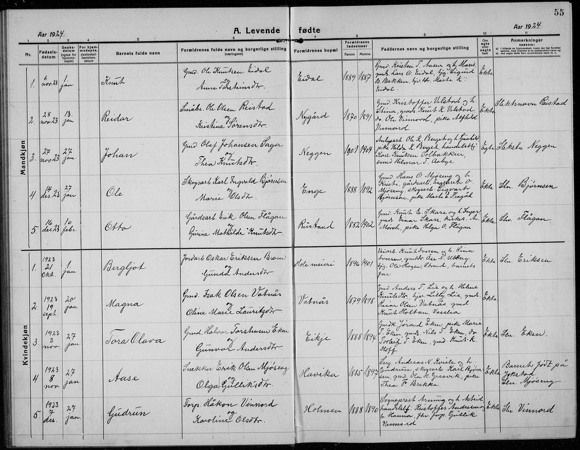 Sigdal kirkebøker, AV/SAKO-A-245/G/Ga/L0007: Parish register (copy) no. I 7, 1917-1935, p. 55