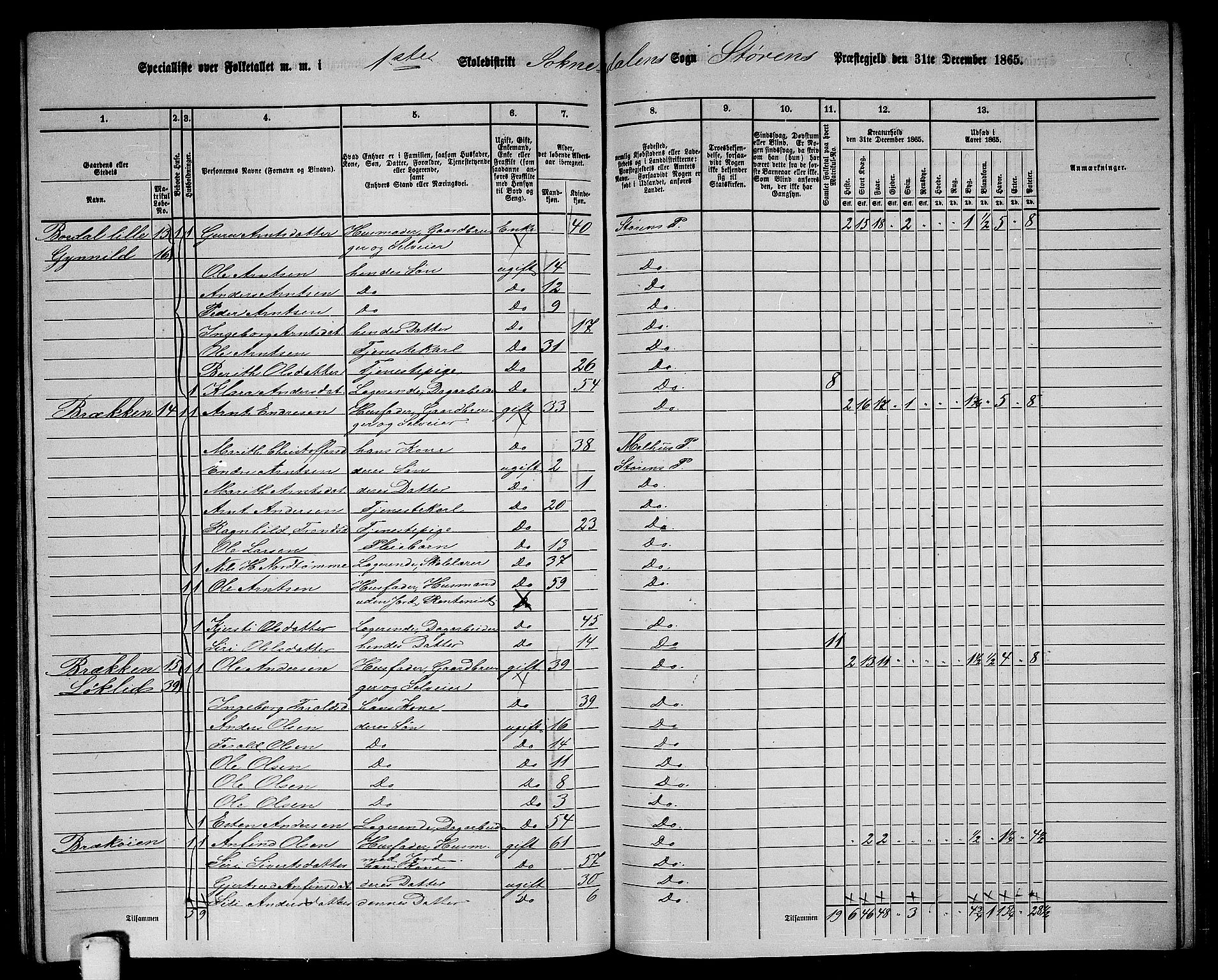 RA, 1865 census for Støren, 1865, p. 220