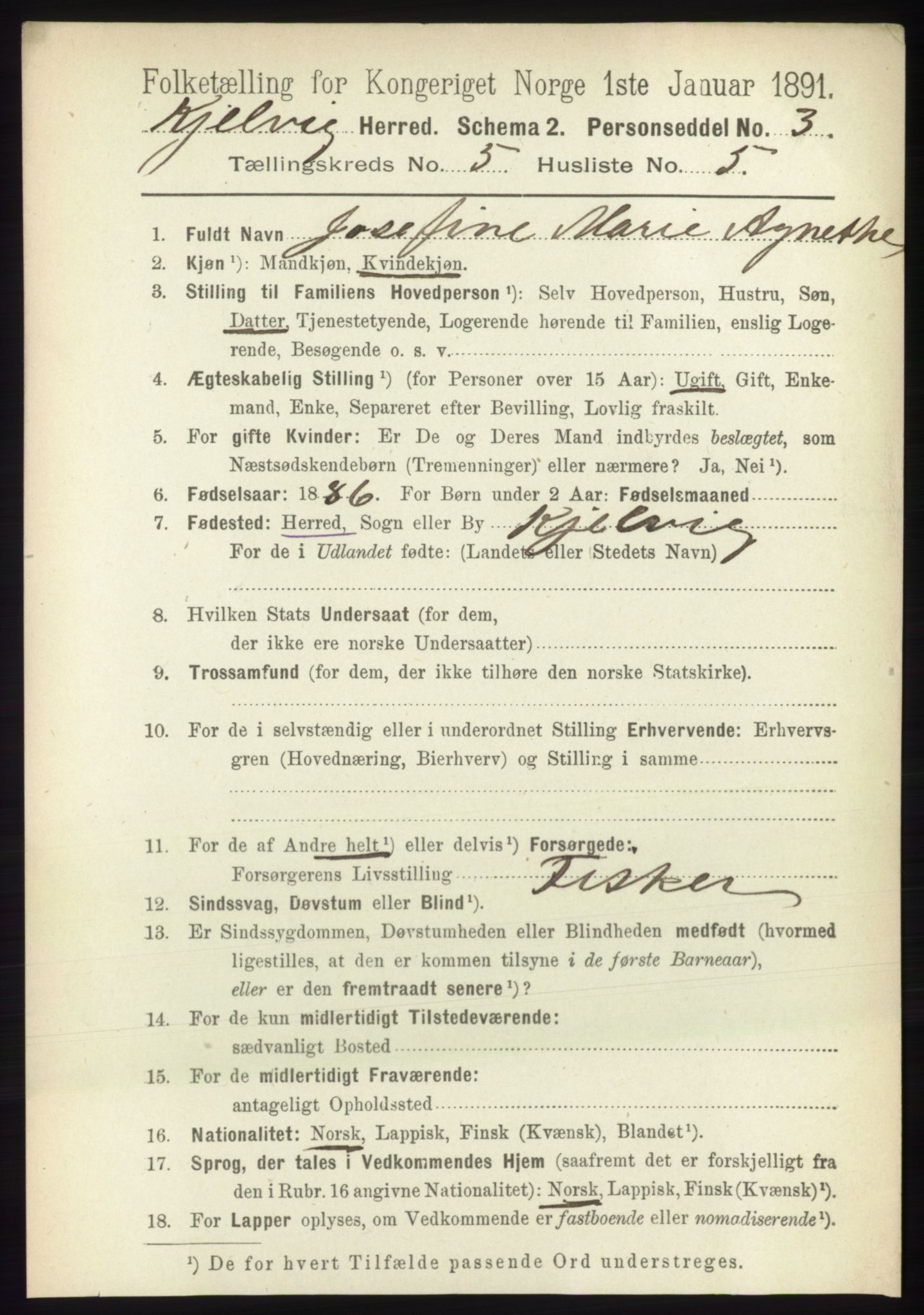 RA, 1891 census for 2019 Kjelvik, 1891, p. 572