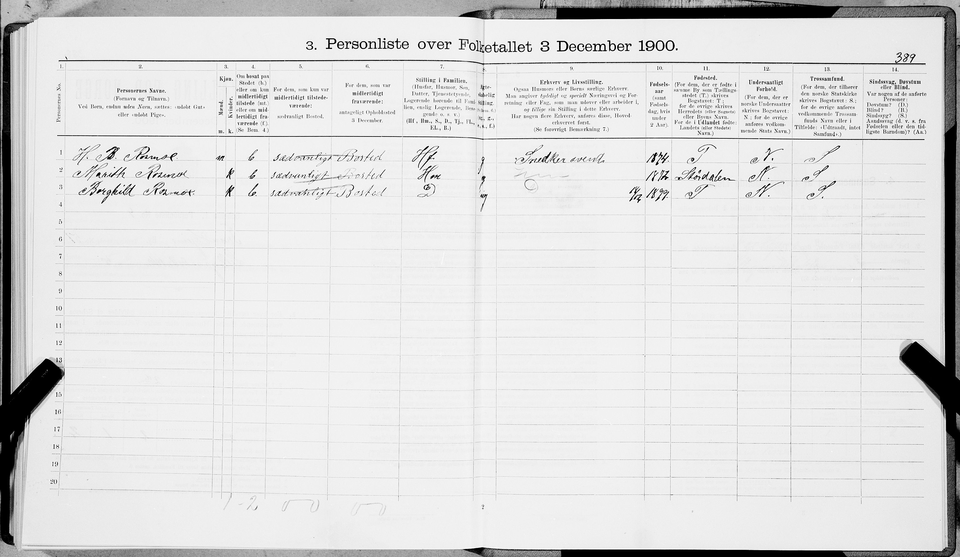 SAT, 1900 census for Trondheim, 1900, p. 8704