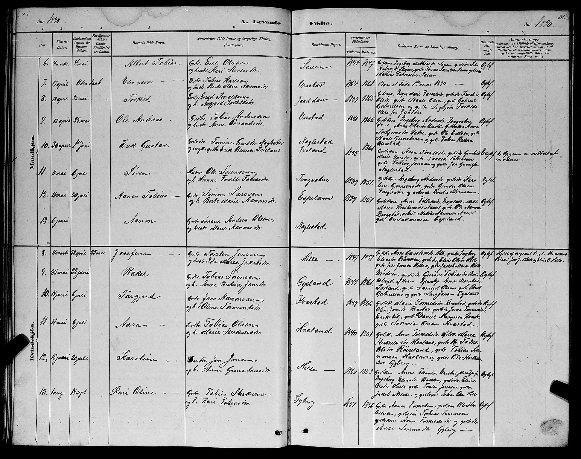 Hægebostad sokneprestkontor, AV/SAK-1111-0024/F/Fb/Fba/L0003: Parish register (copy) no. B 3, 1883-1896, p. 31