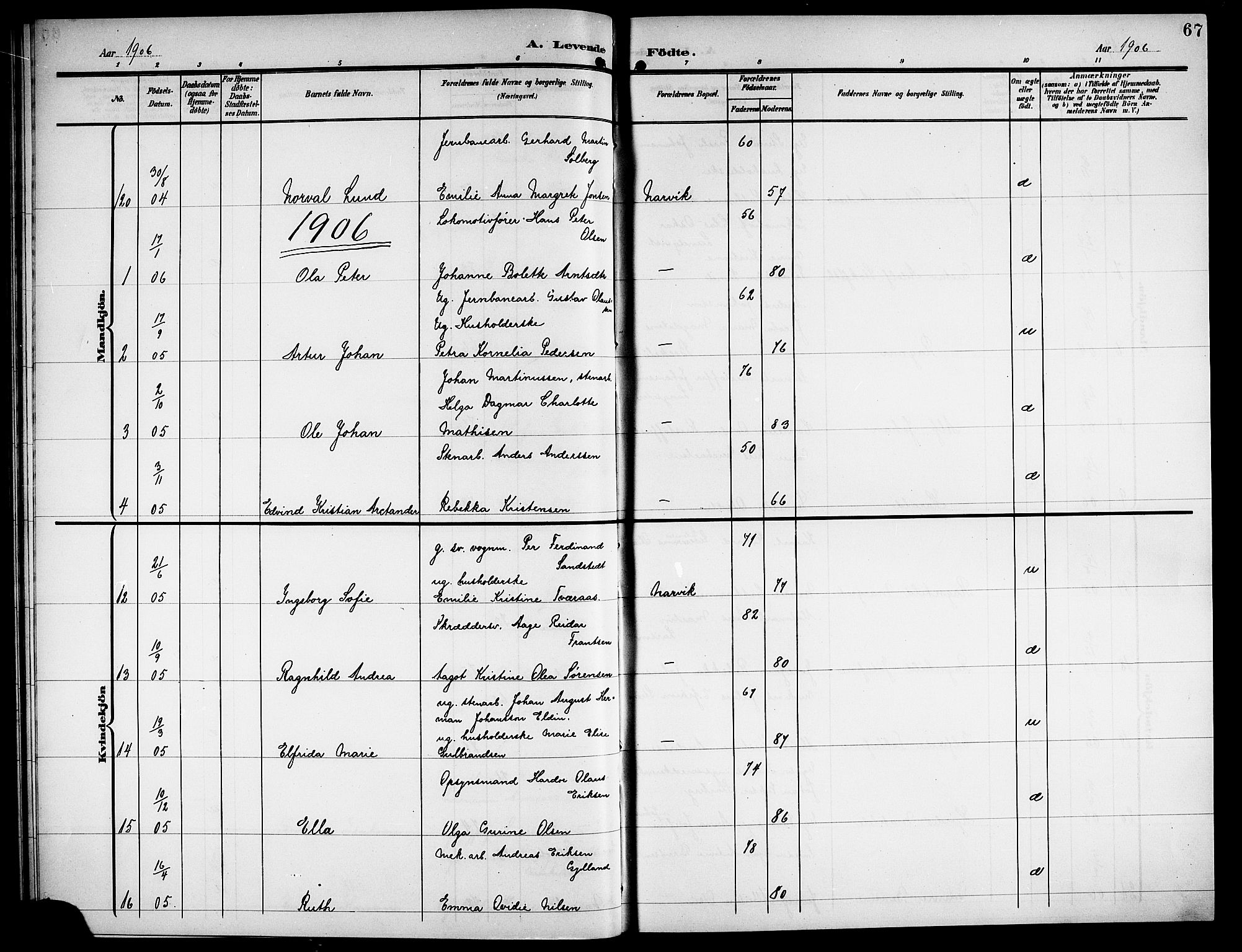 Ministerialprotokoller, klokkerbøker og fødselsregistre - Nordland, AV/SAT-A-1459/871/L1012: Parish register (copy) no. 871C01, 1902-1909, p. 67