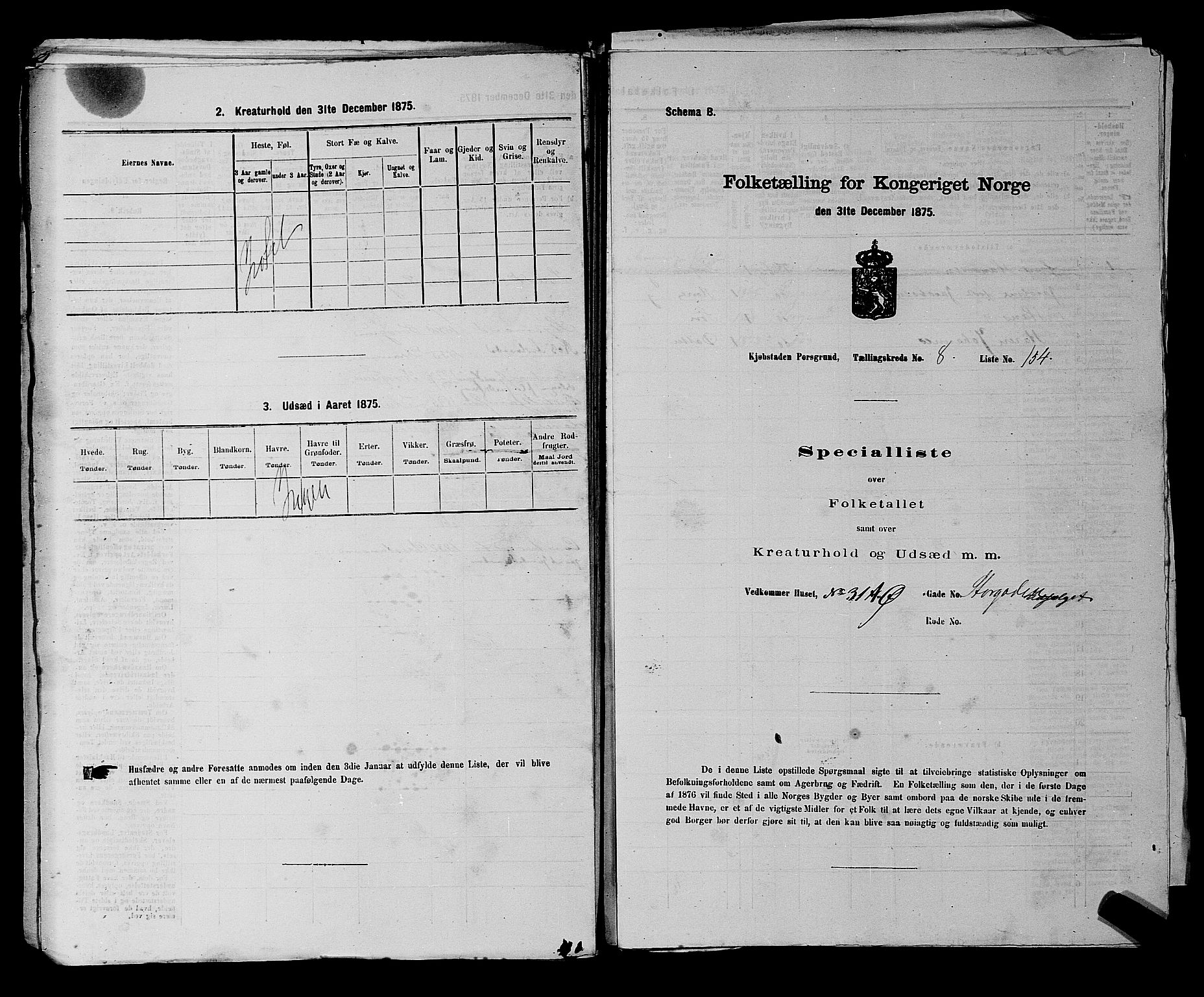 SAKO, 1875 census for 0805P Porsgrunn, 1875, p. 363