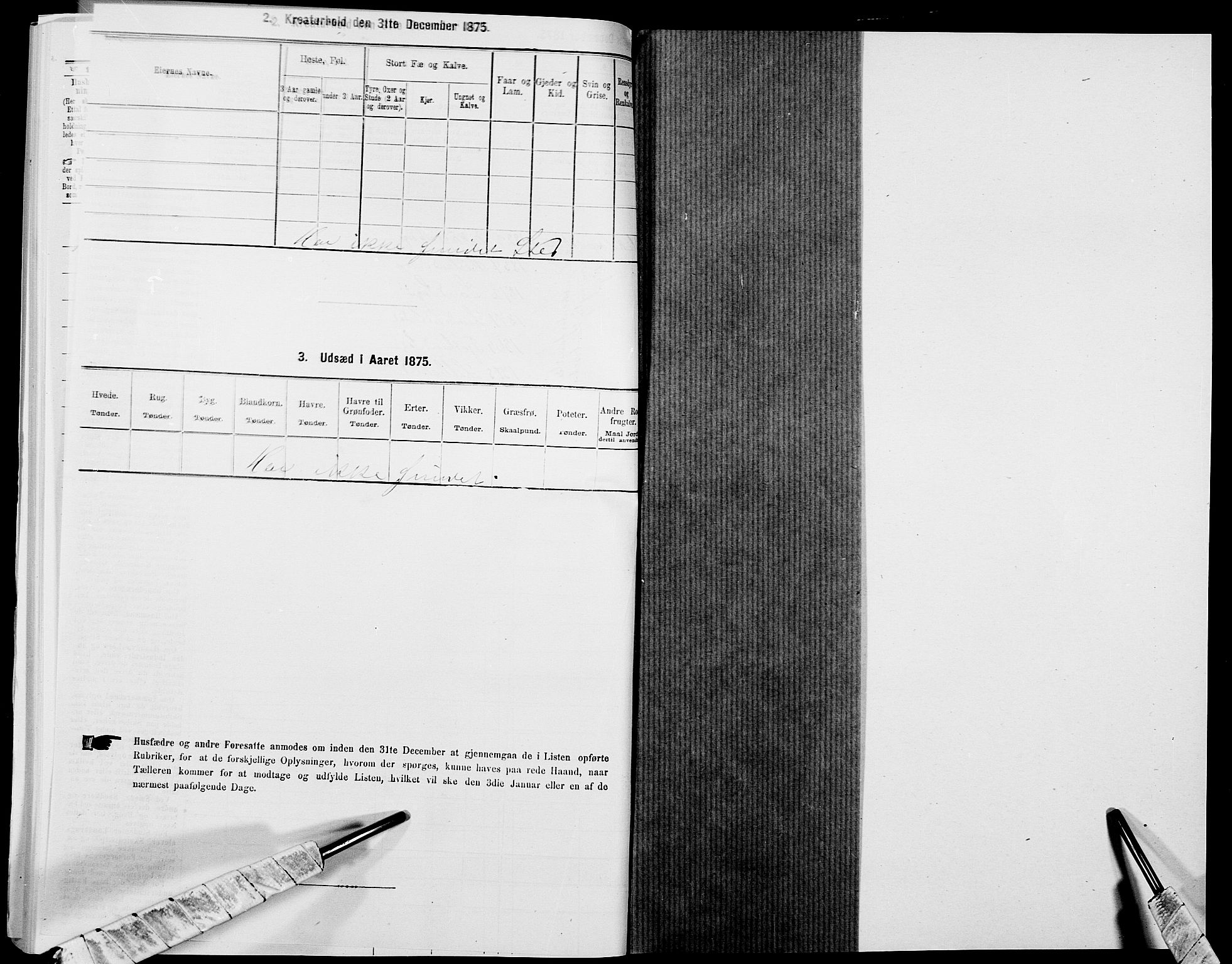 SAK, 1875 census for 1012P Oddernes, 1875, p. 722