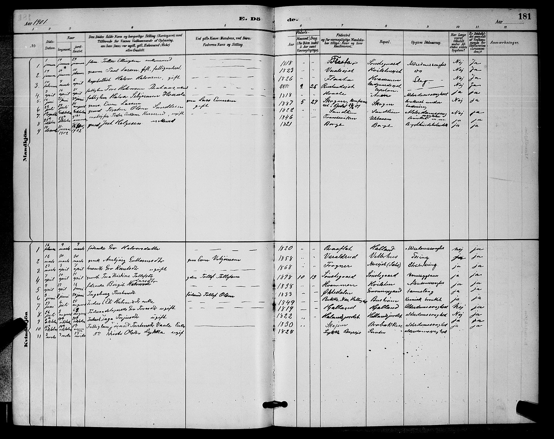 Nore kirkebøker, SAKO/A-238/G/Ga/L0003: Parish register (copy) no. I 3, 1886-1903, p. 181