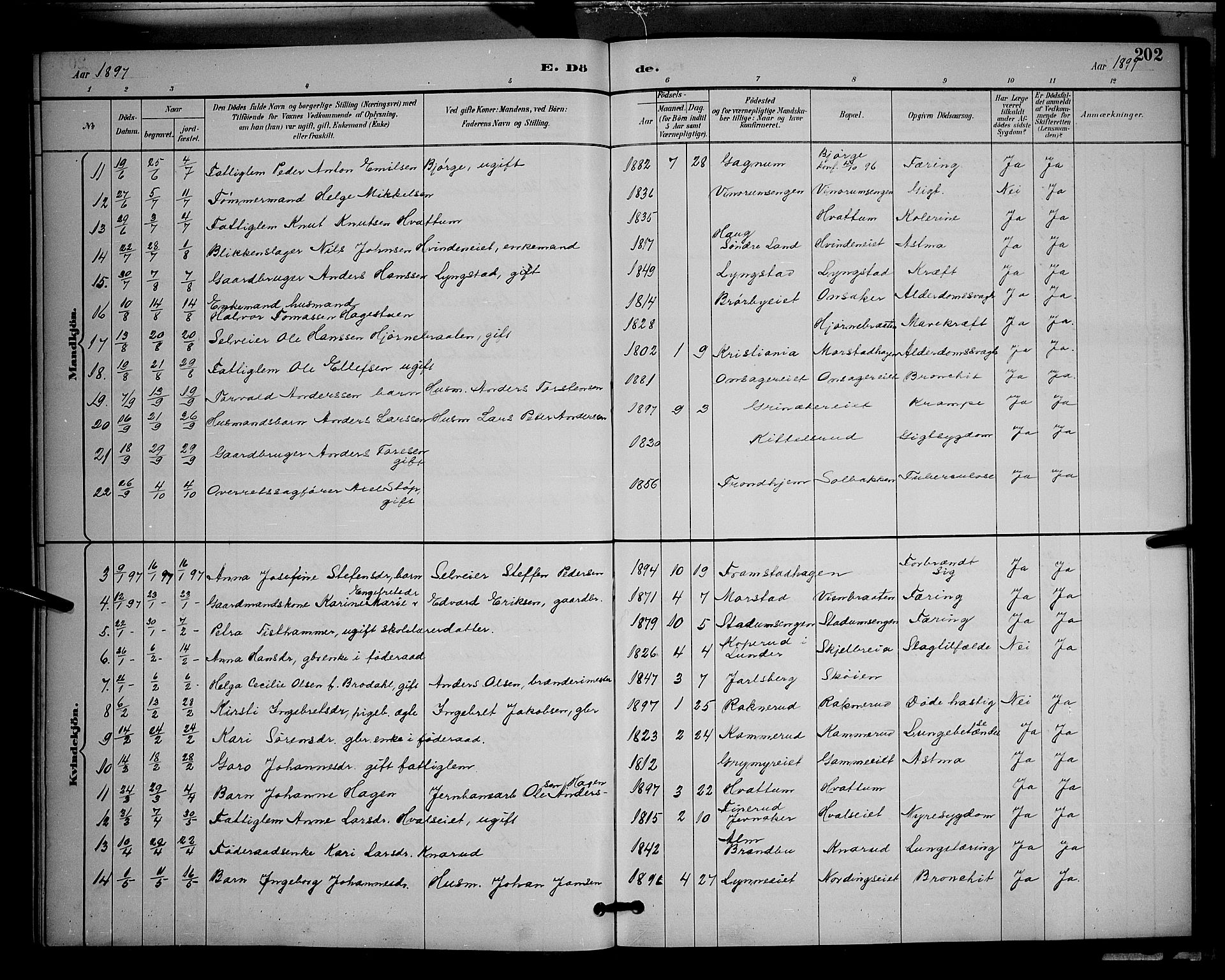 Gran prestekontor, AV/SAH-PREST-112/H/Ha/Hab/L0005: Parish register (copy) no. 5, 1892-1900, p. 202