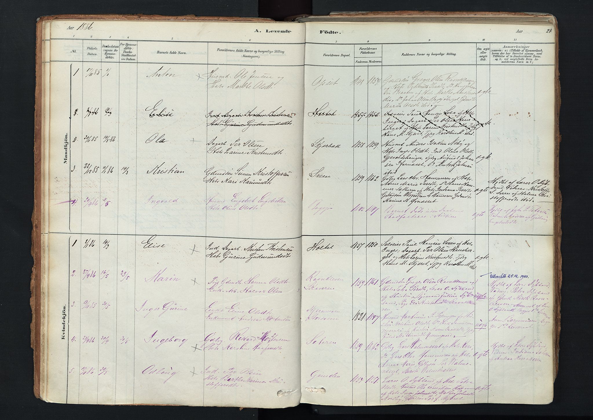 Trysil prestekontor, SAH/PREST-046/H/Ha/Haa/L0011: Parish register (official) no. 11, 1878-1912, p. 24