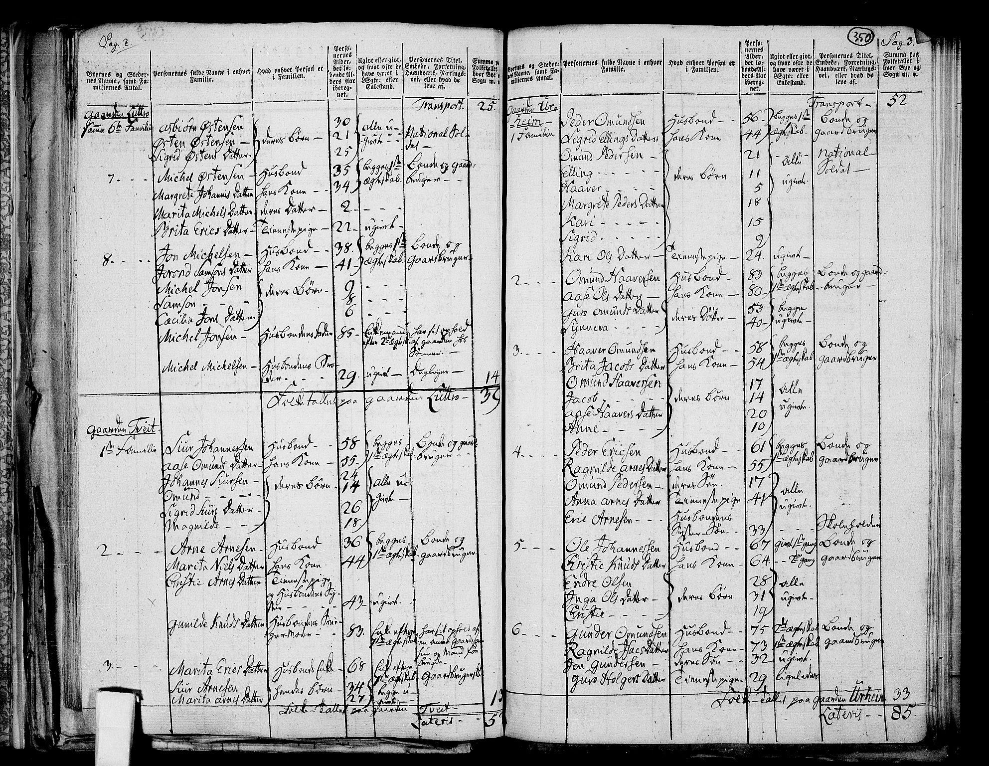 RA, 1801 census for 1230P Kinsarvik, 1801, p. 349b-350a