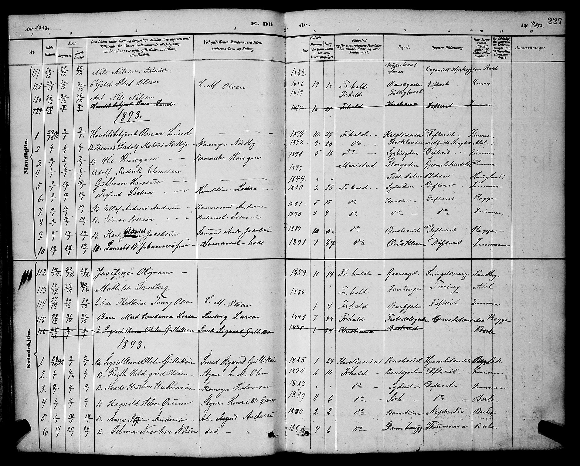 Halden prestekontor Kirkebøker, AV/SAO-A-10909/G/Ga/L0009: Parish register (copy) no. 9, 1885-1908, p. 227