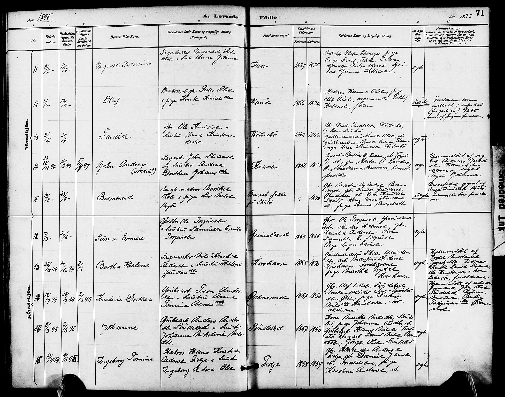 Søndeled sokneprestkontor, AV/SAK-1111-0038/F/Fa/L0005: Parish register (official) no. A 5, 1889-1899, p. 71