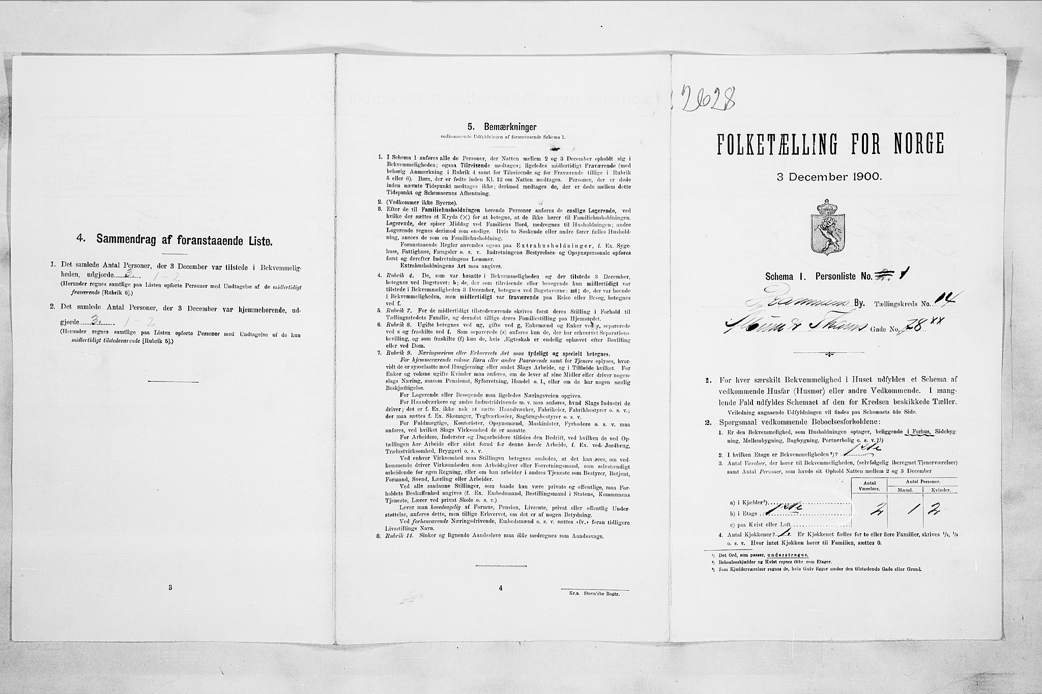 RA, 1900 census for Drammen, 1900, p. 2572