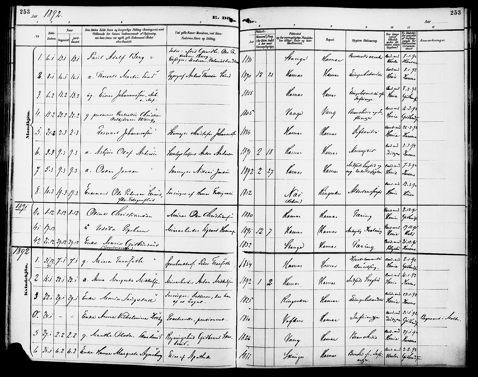 Vang prestekontor, Hedmark, AV/SAH-PREST-008/H/Ha/Haa/L0017: Parish register (official) no. 17, 1890-1899, p. 253