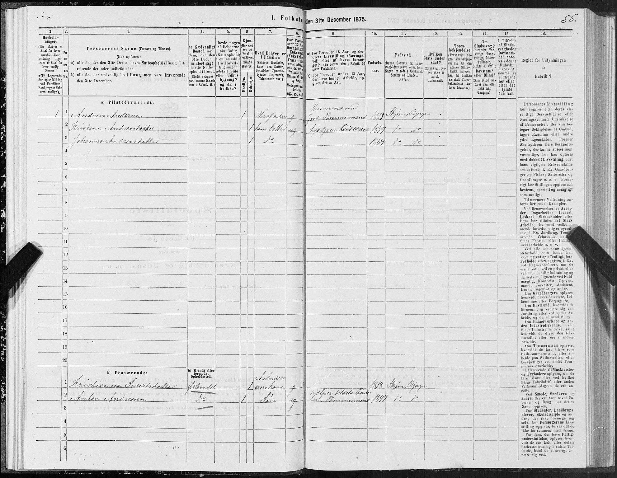 SAT, 1875 census for 1627P Bjugn, 1875, p. 3055