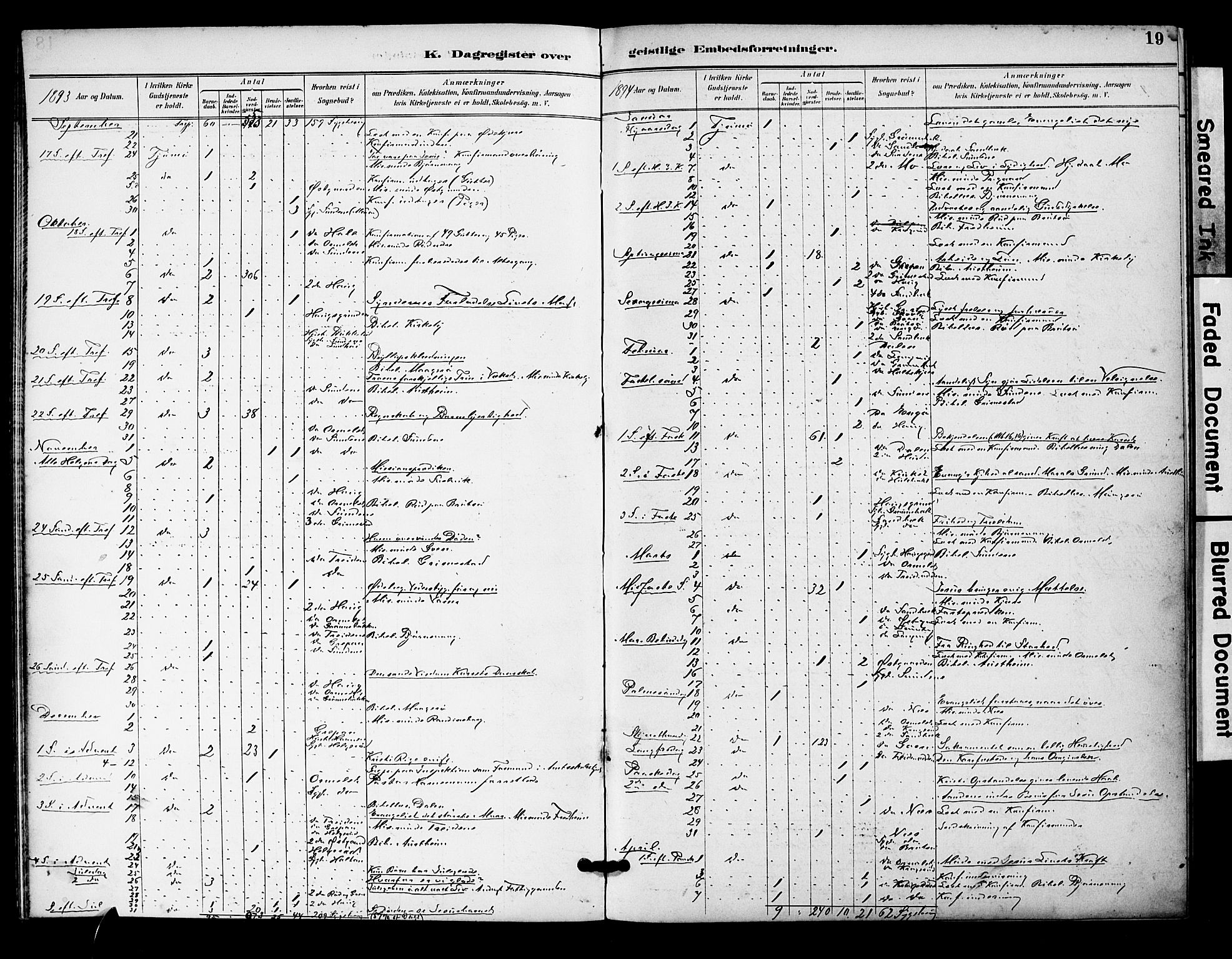 Tjøme kirkebøker, SAKO/A-328/F/Fa/L0004: Parish register (official) no. 4, 1891-1900, p. 19