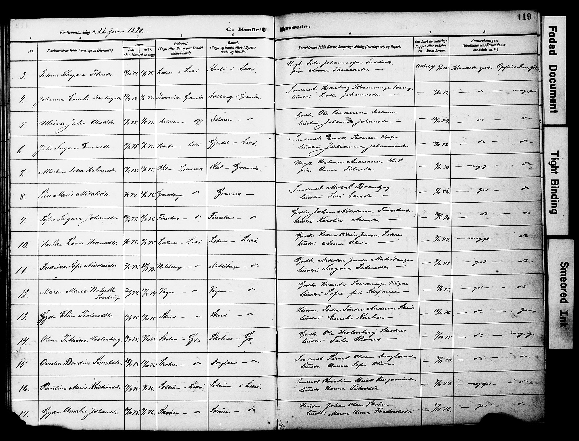 Ministerialprotokoller, klokkerbøker og fødselsregistre - Nord-Trøndelag, AV/SAT-A-1458/788/L0701: Parish register (copy) no. 788C01, 1888-1913, p. 119