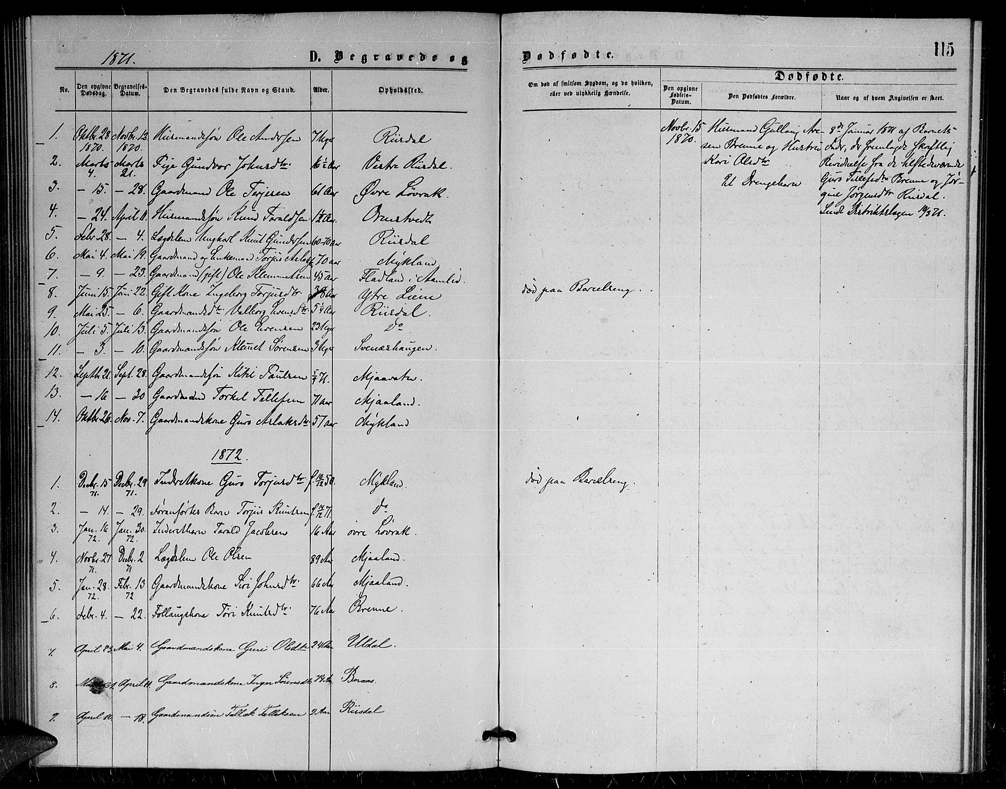 Herefoss sokneprestkontor, SAK/1111-0019/F/Fa/Fac/L0001: Parish register (official) no. A 1, 1871-1886, p. 115