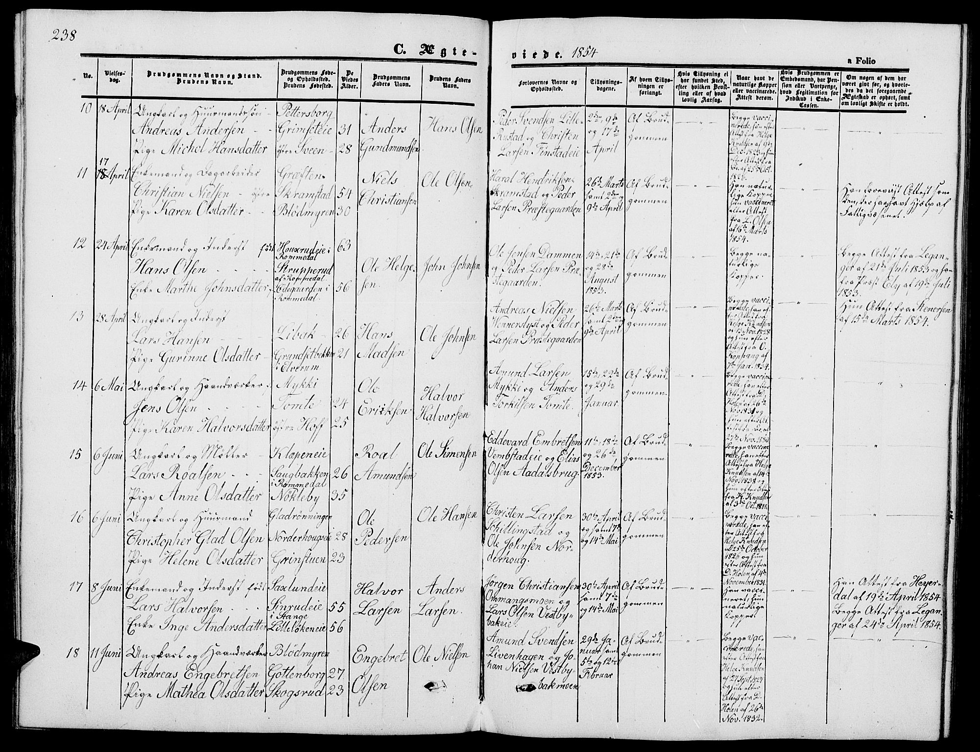 Løten prestekontor, AV/SAH-PREST-022/L/La/L0003: Parish register (copy) no. 3, 1850-1862, p. 238