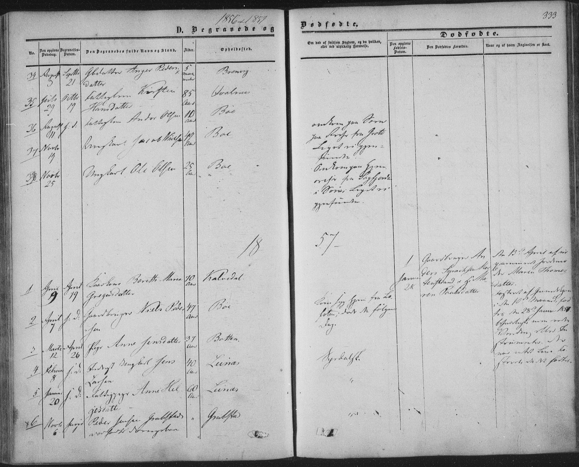 Ministerialprotokoller, klokkerbøker og fødselsregistre - Nordland, AV/SAT-A-1459/855/L0800: Parish register (official) no. 855A08, 1852-1864, p. 333