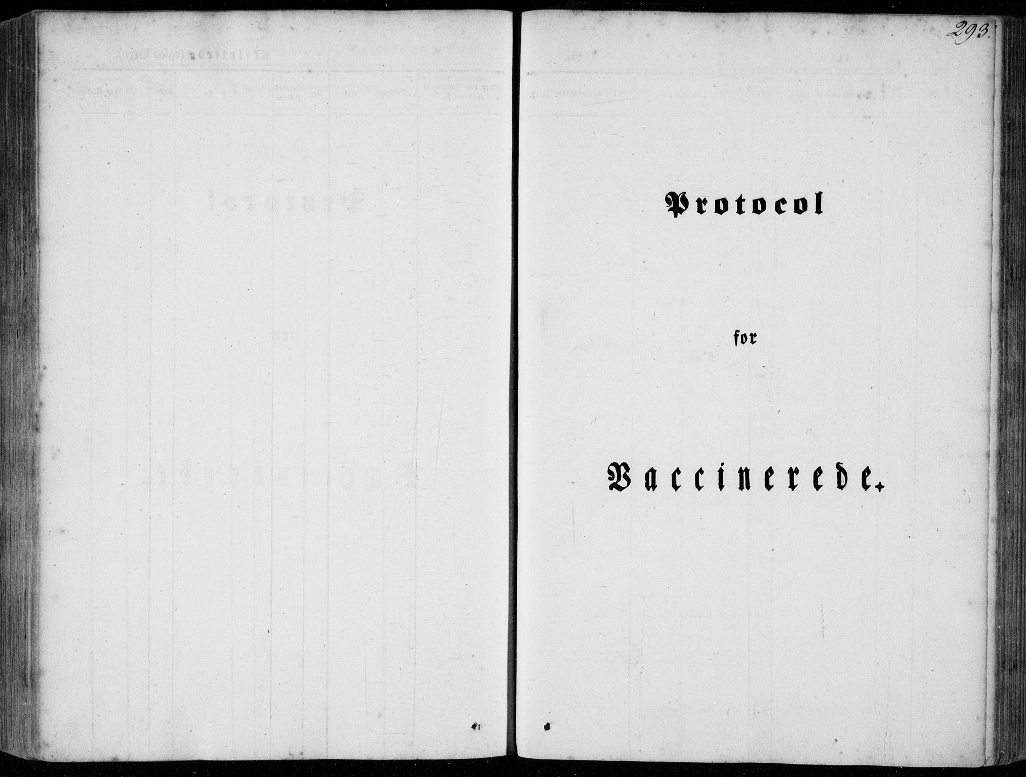 Stryn Sokneprestembete, SAB/A-82501: Parish register (official) no. A 2, 1844-1861, p. 293