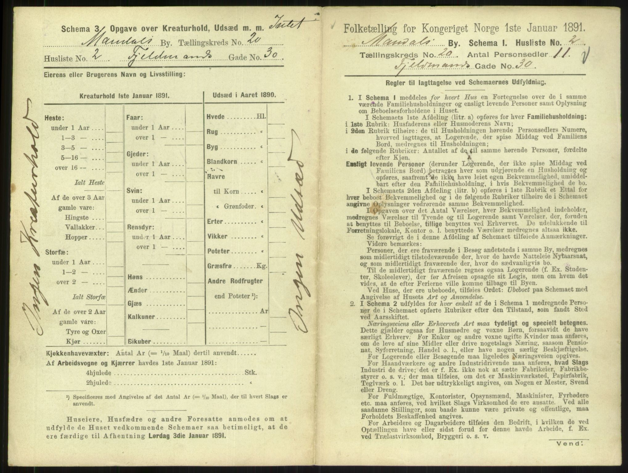 RA, 1891 census for 1002 Mandal, 1891, p. 899