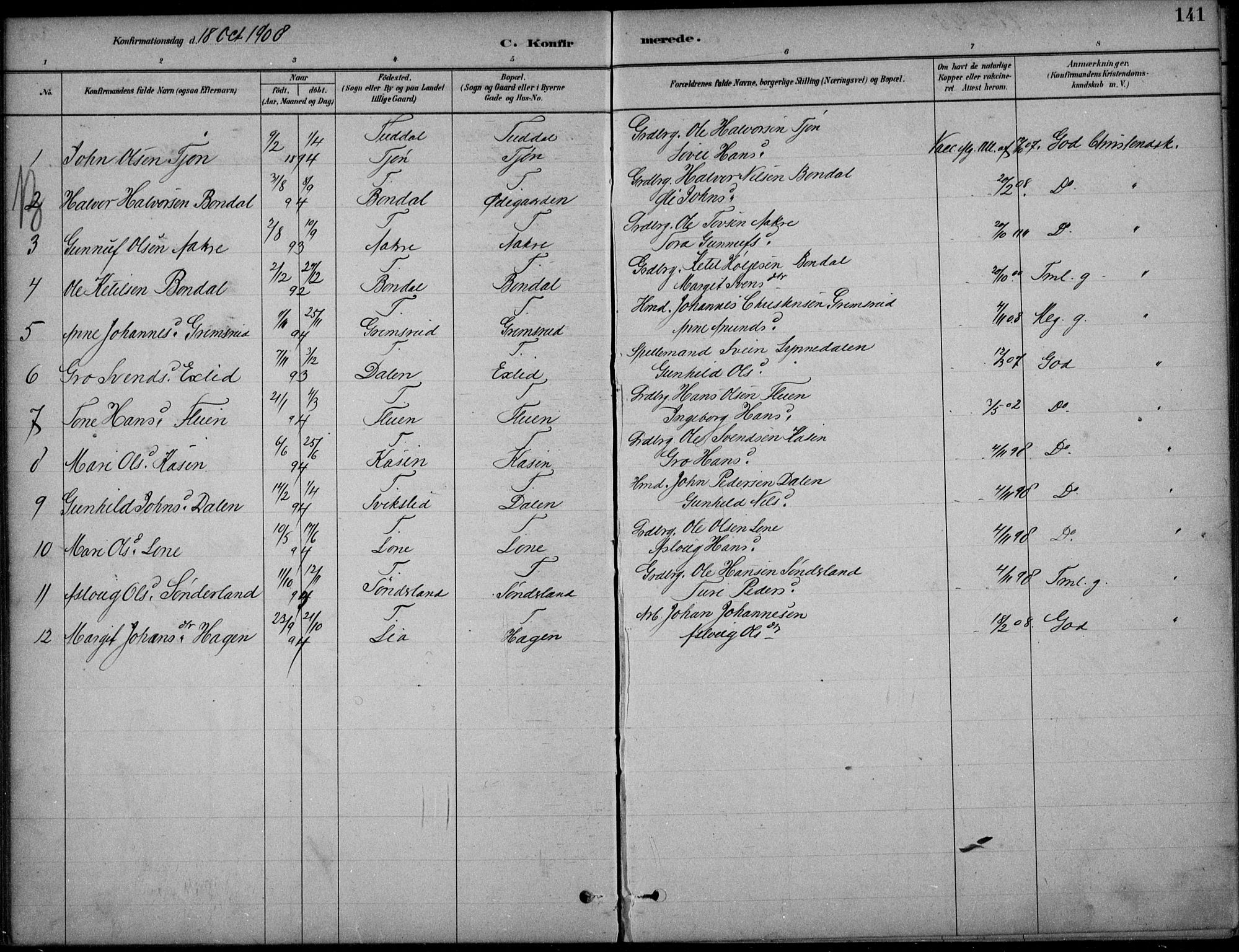 Hjartdal kirkebøker, SAKO/A-270/F/Fc/L0002: Parish register (official) no. III 2, 1880-1936, p. 141