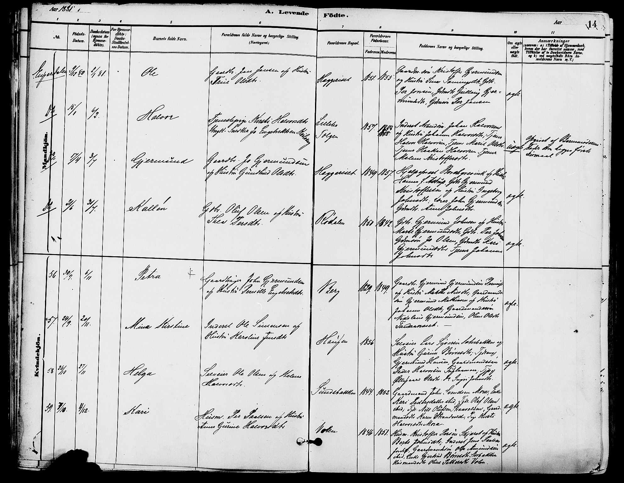 Trysil prestekontor, AV/SAH-PREST-046/H/Ha/Haa/L0008: Parish register (official) no. 8, 1881-1897, p. 14