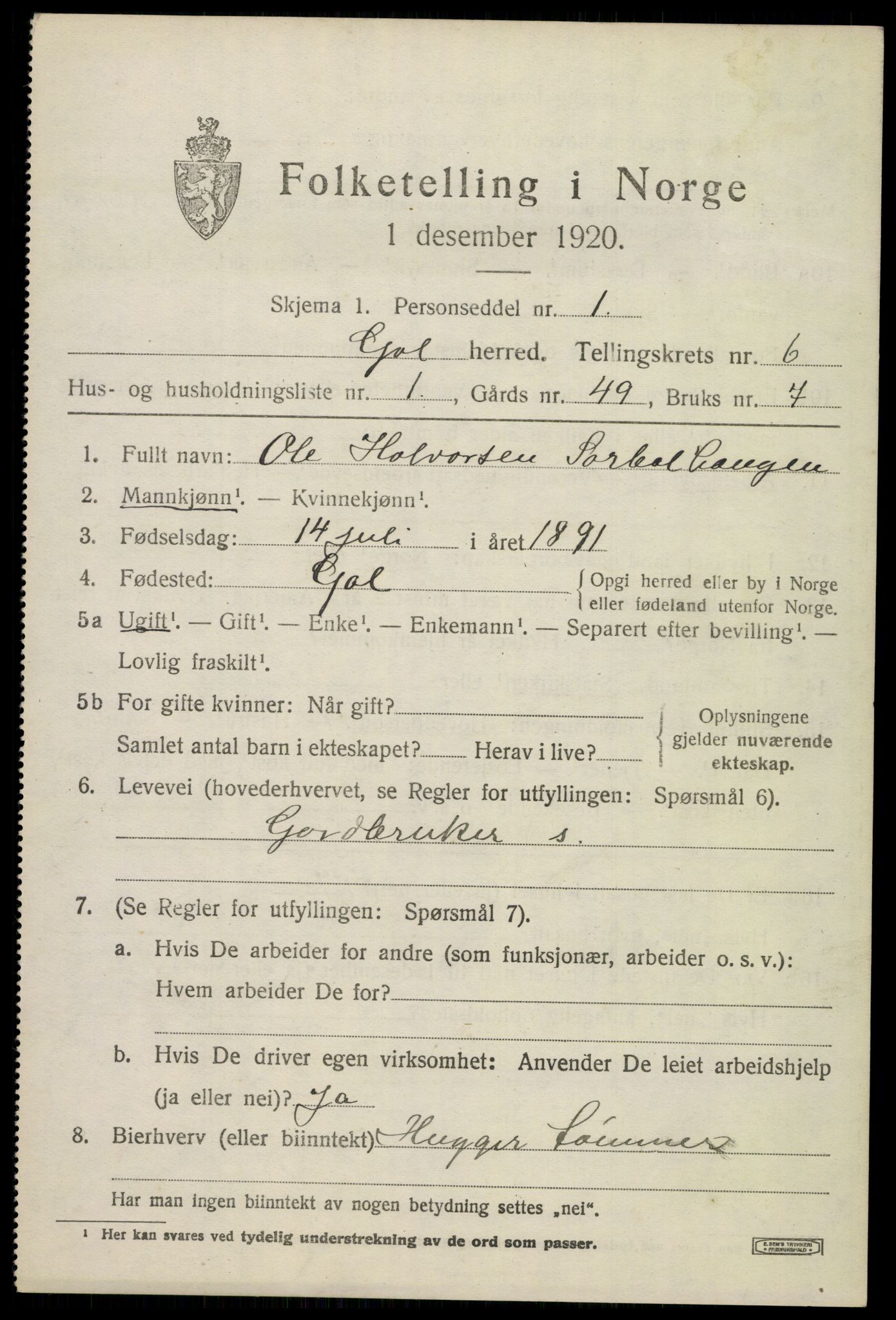 SAKO, 1920 census for Gol, 1920, p. 4576