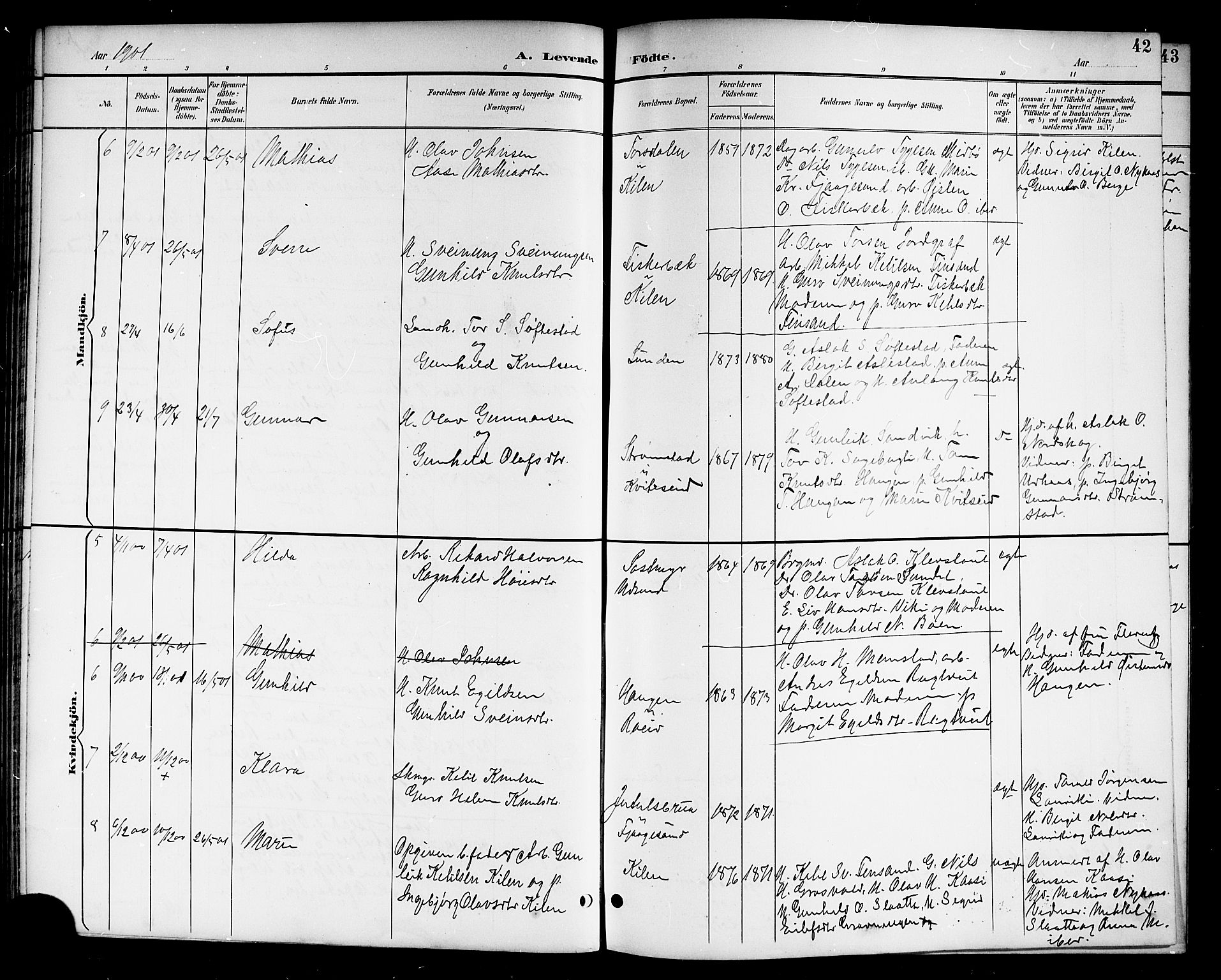 Kviteseid kirkebøker, SAKO/A-276/G/Ga/L0002: Parish register (copy) no. I 2, 1893-1918, p. 42