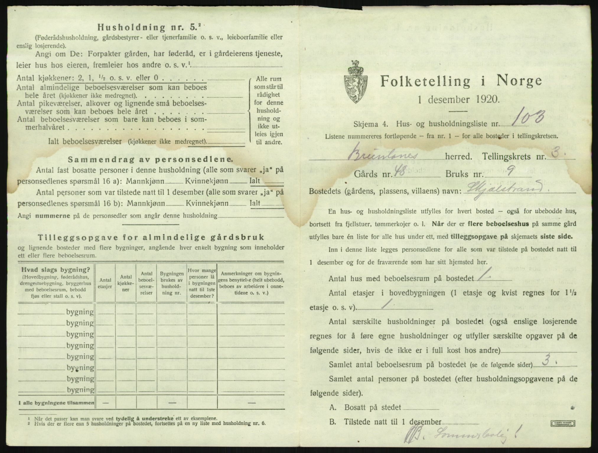 SAKO, 1920 census for Brunlanes, 1920, p. 709